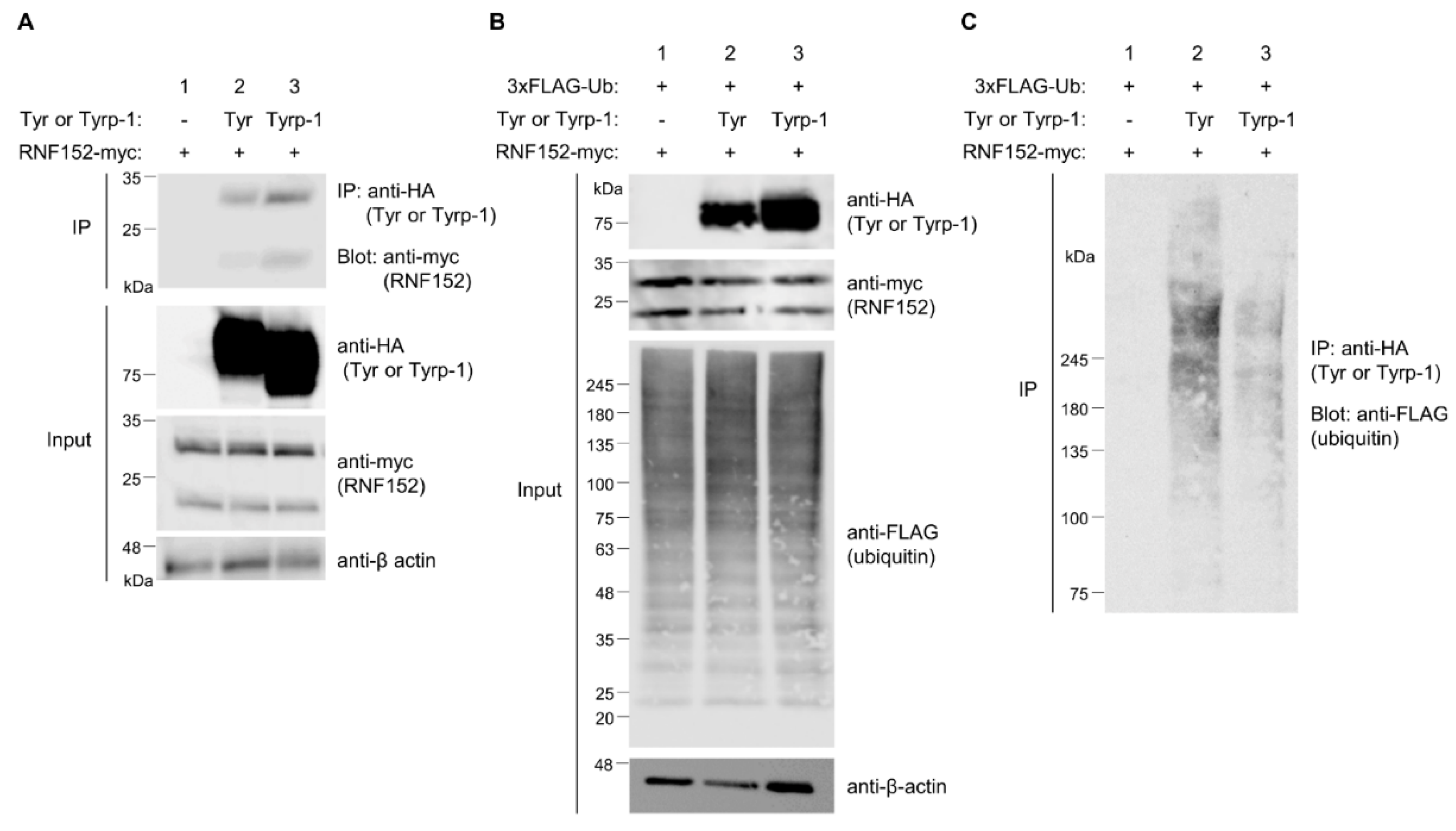 Preprints 94633 g006