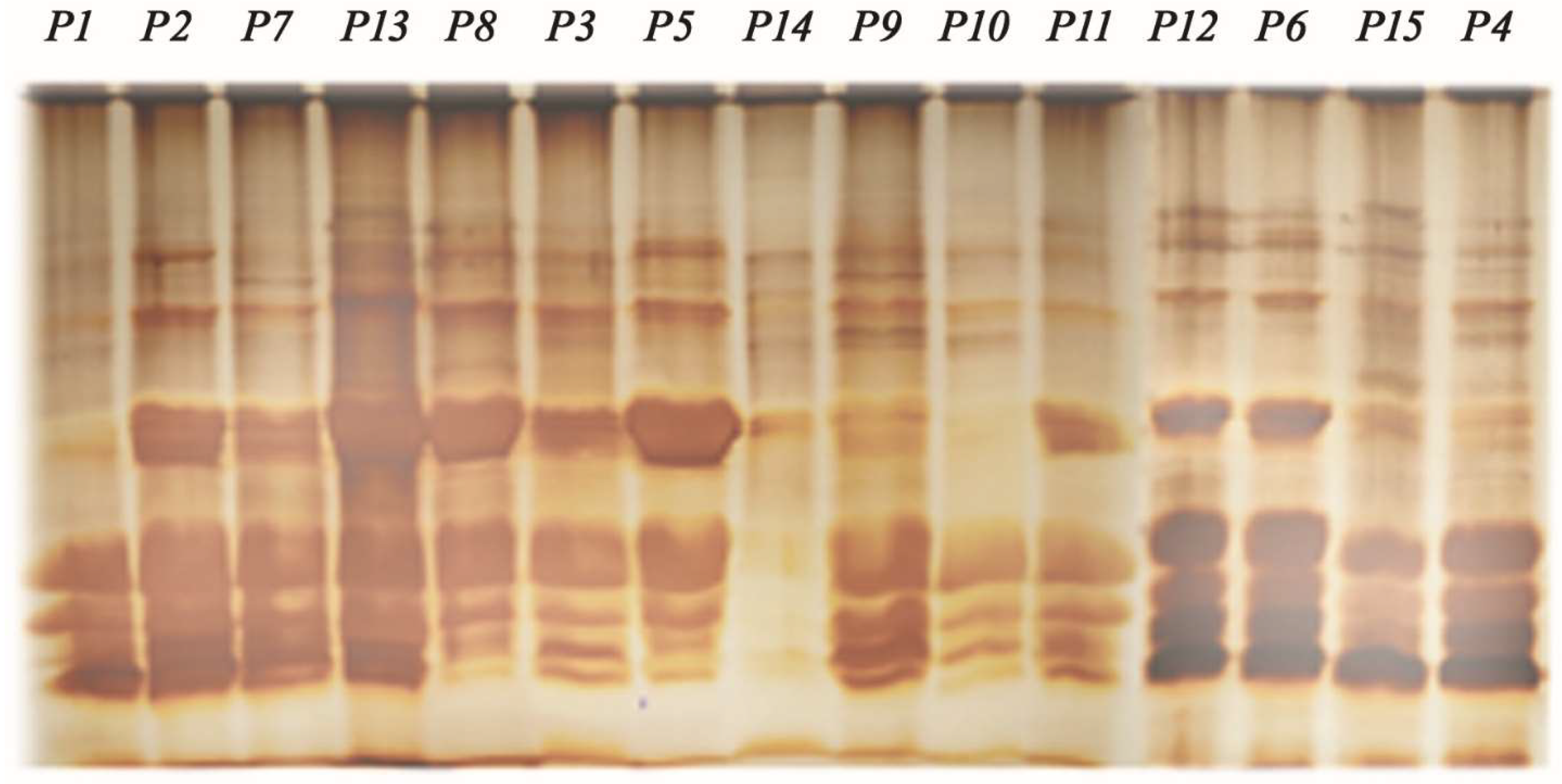 Preprints 155851 g004