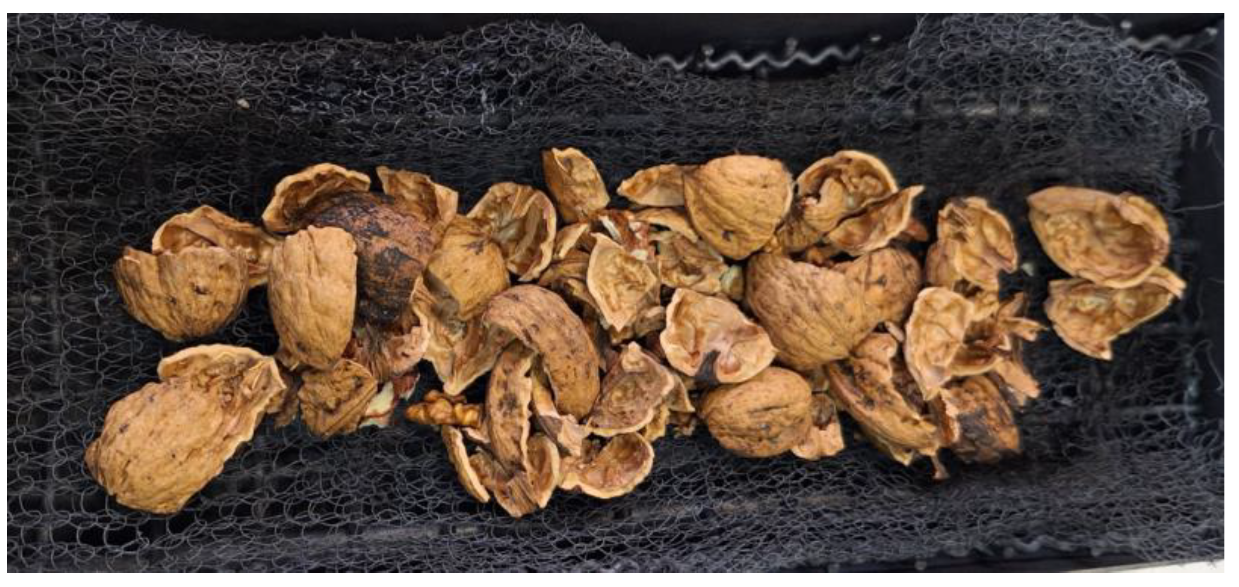 Preprints 154532 g002