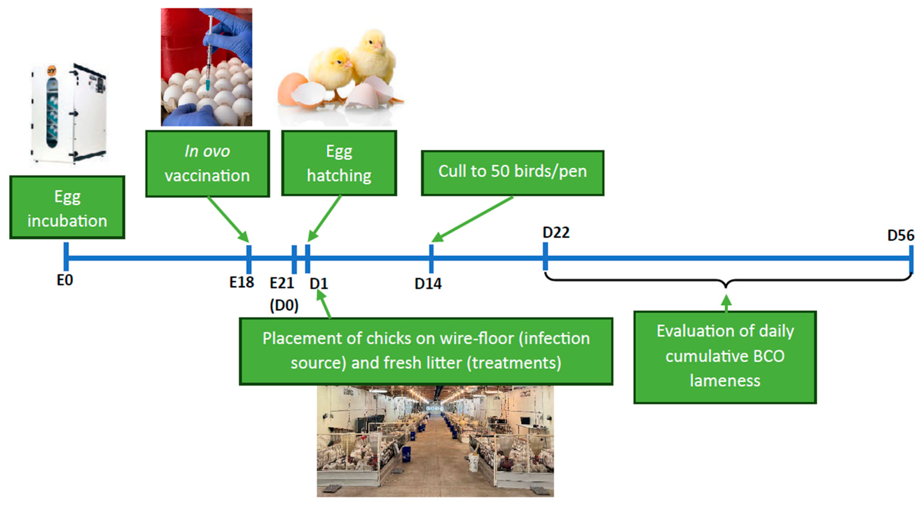 Preprints 171423 g001