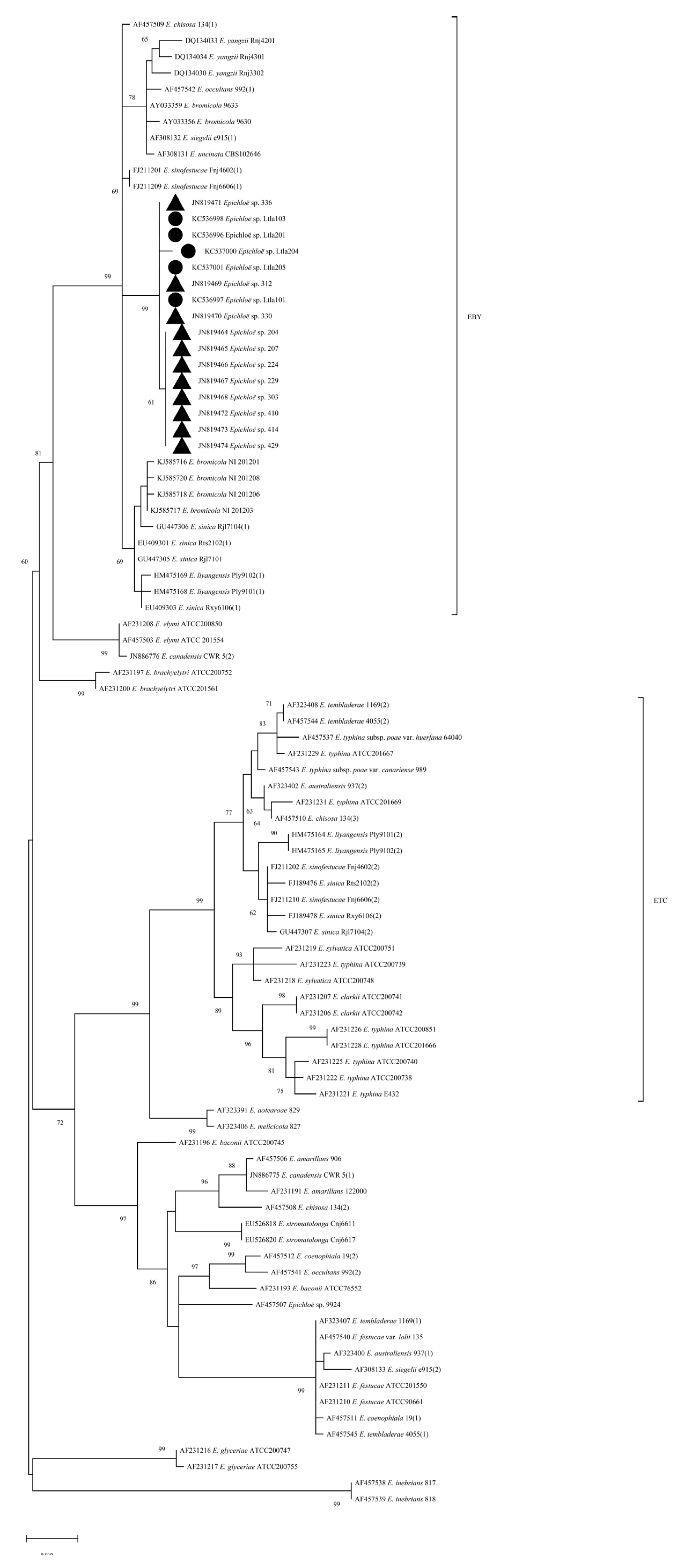 Preprints 66910 g002a
