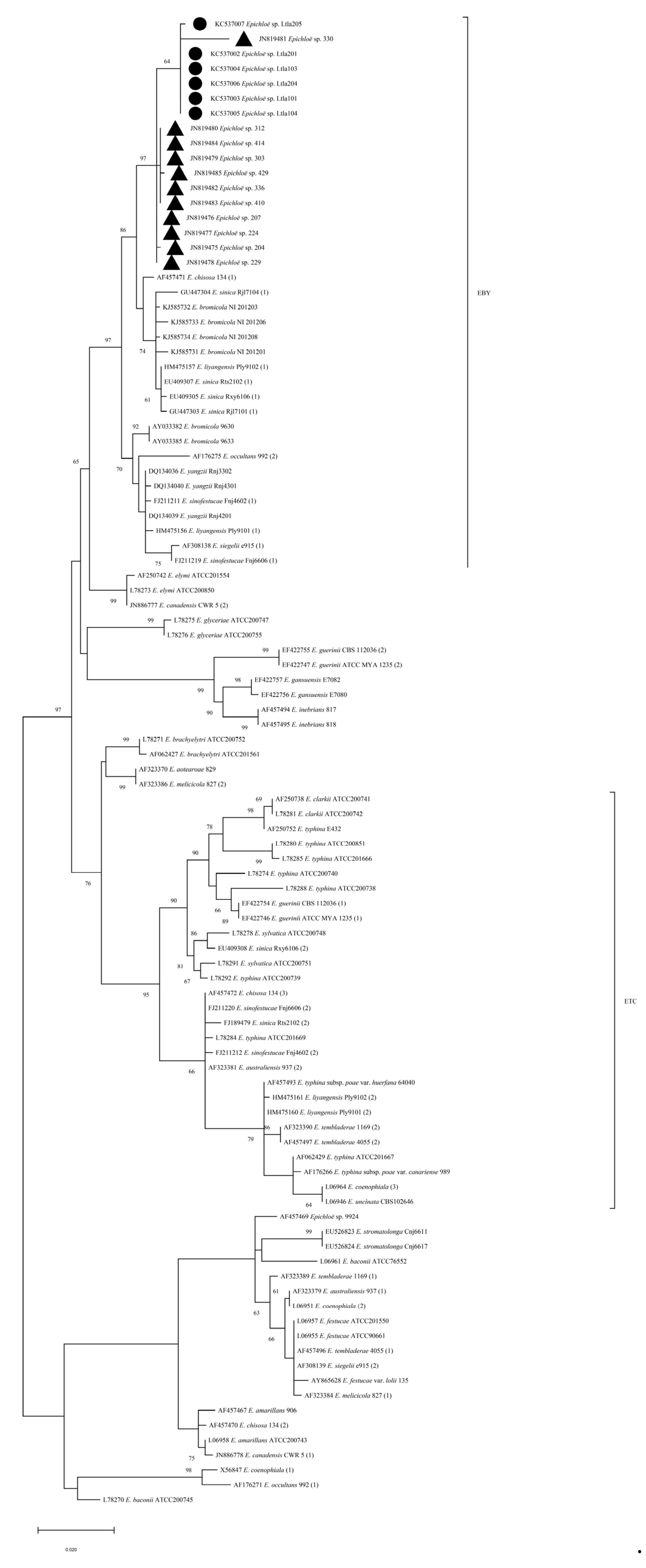 Preprints 66910 g002b