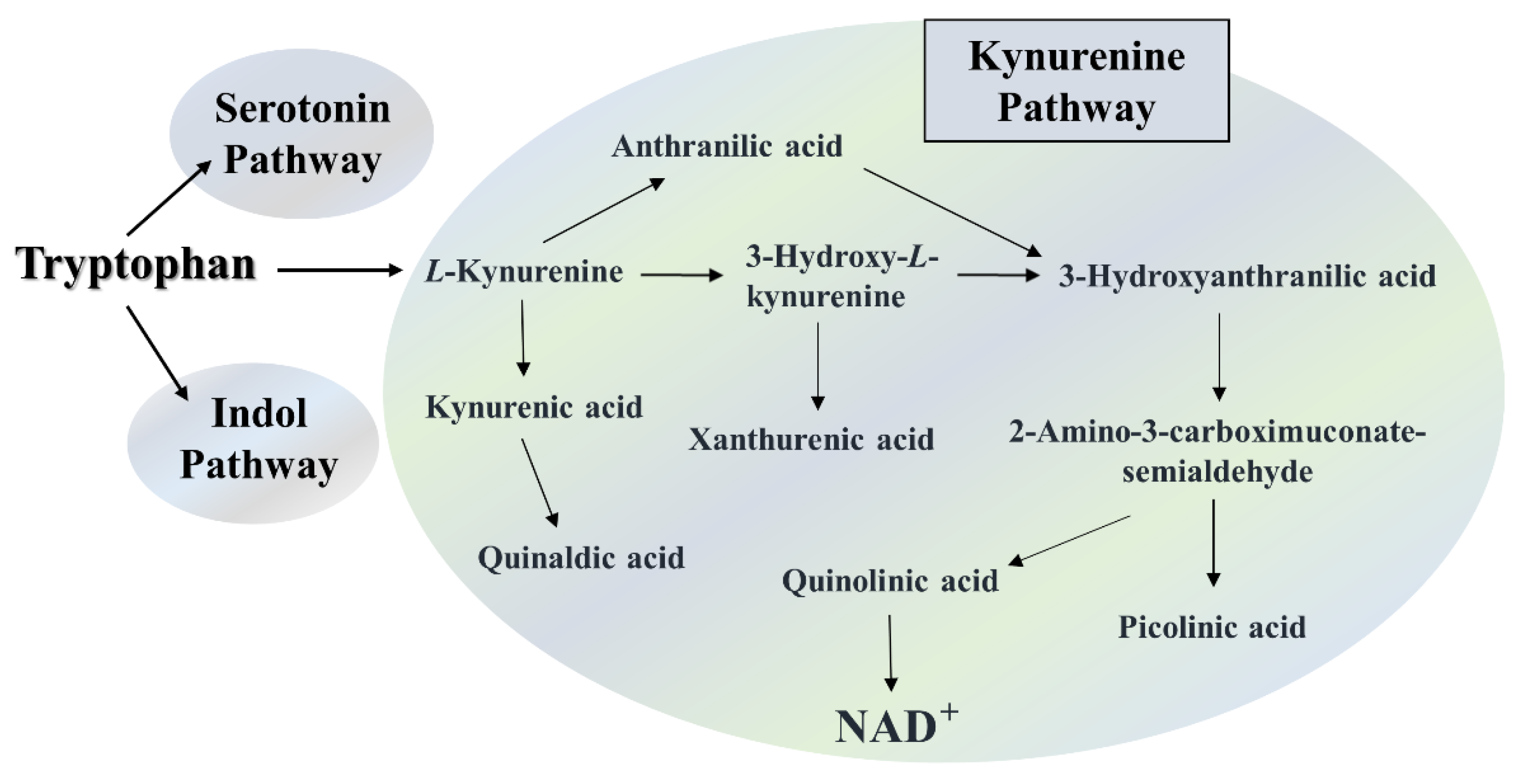 Preprints 157715 g001