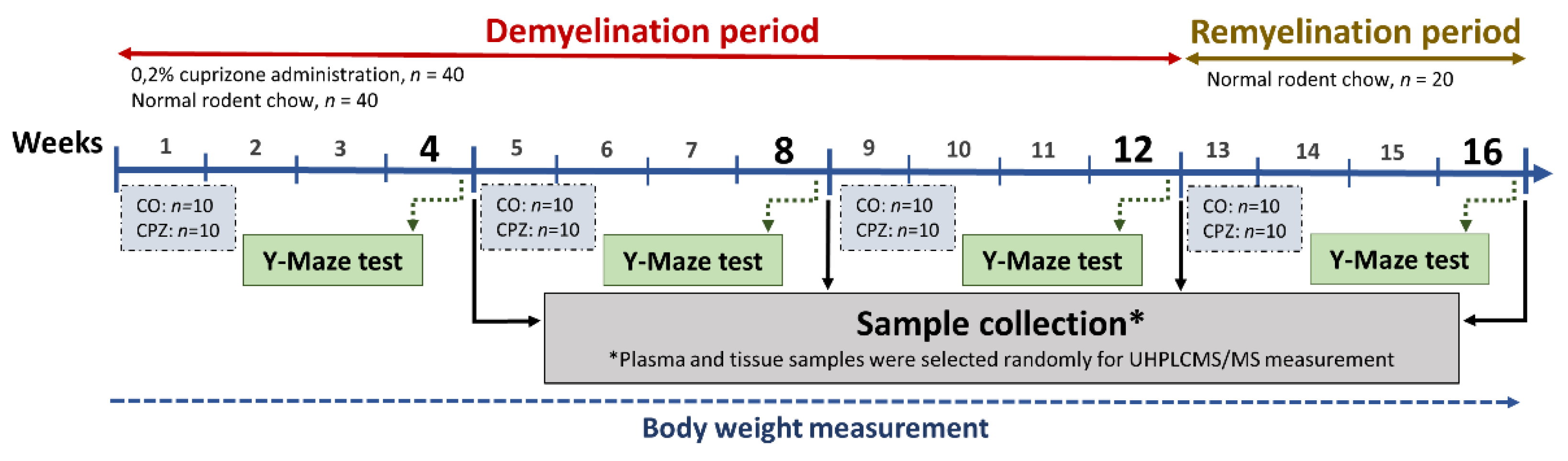 Preprints 157715 g021
