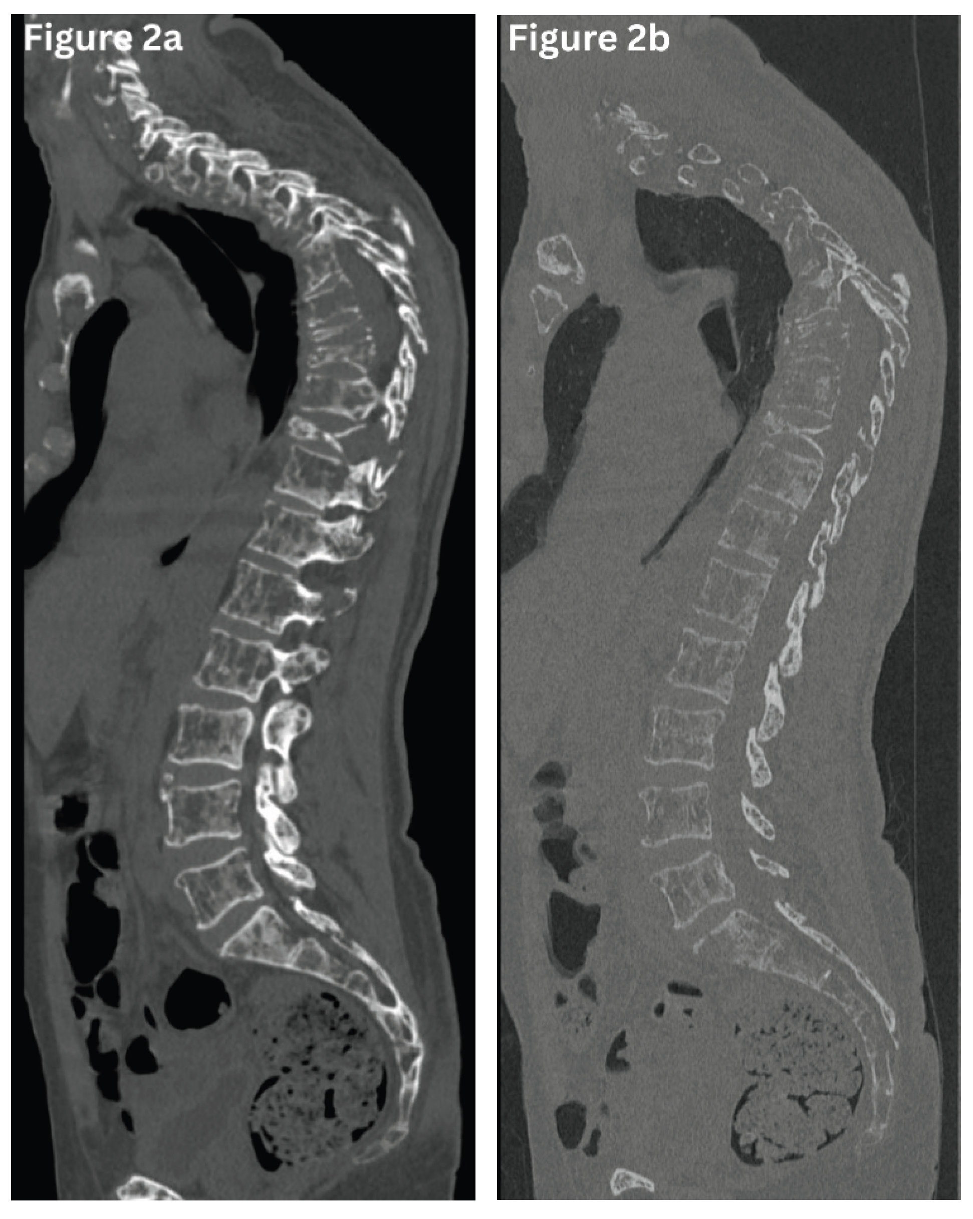 Preprints 190443 g002