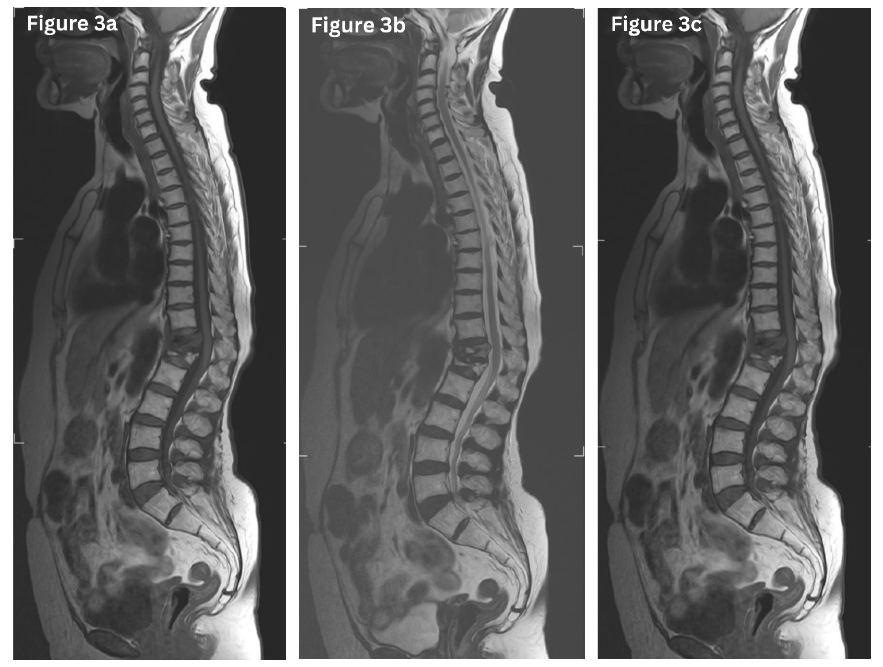 Preprints 190443 g003