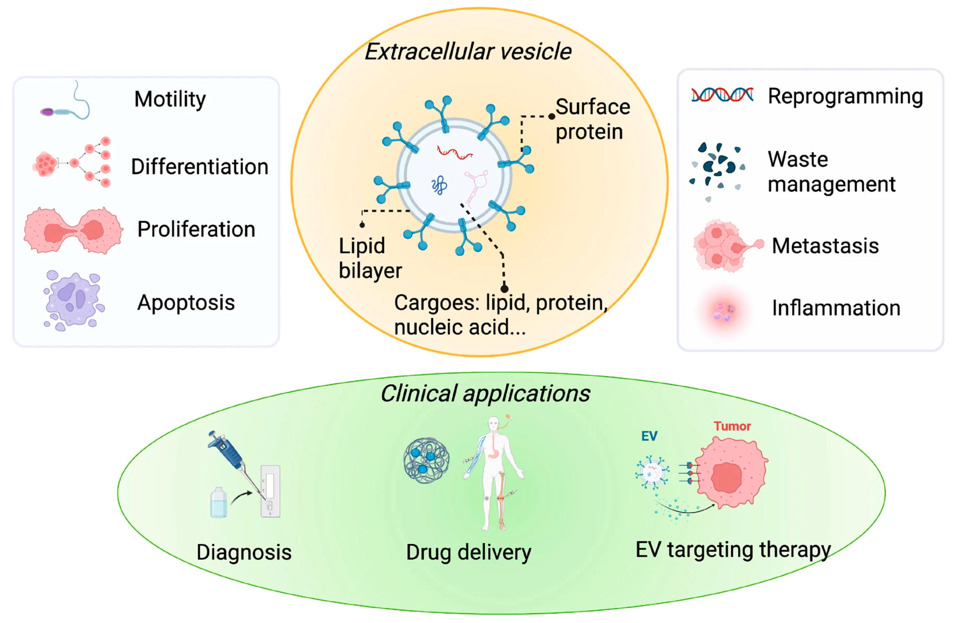 Preprints 164912 g001