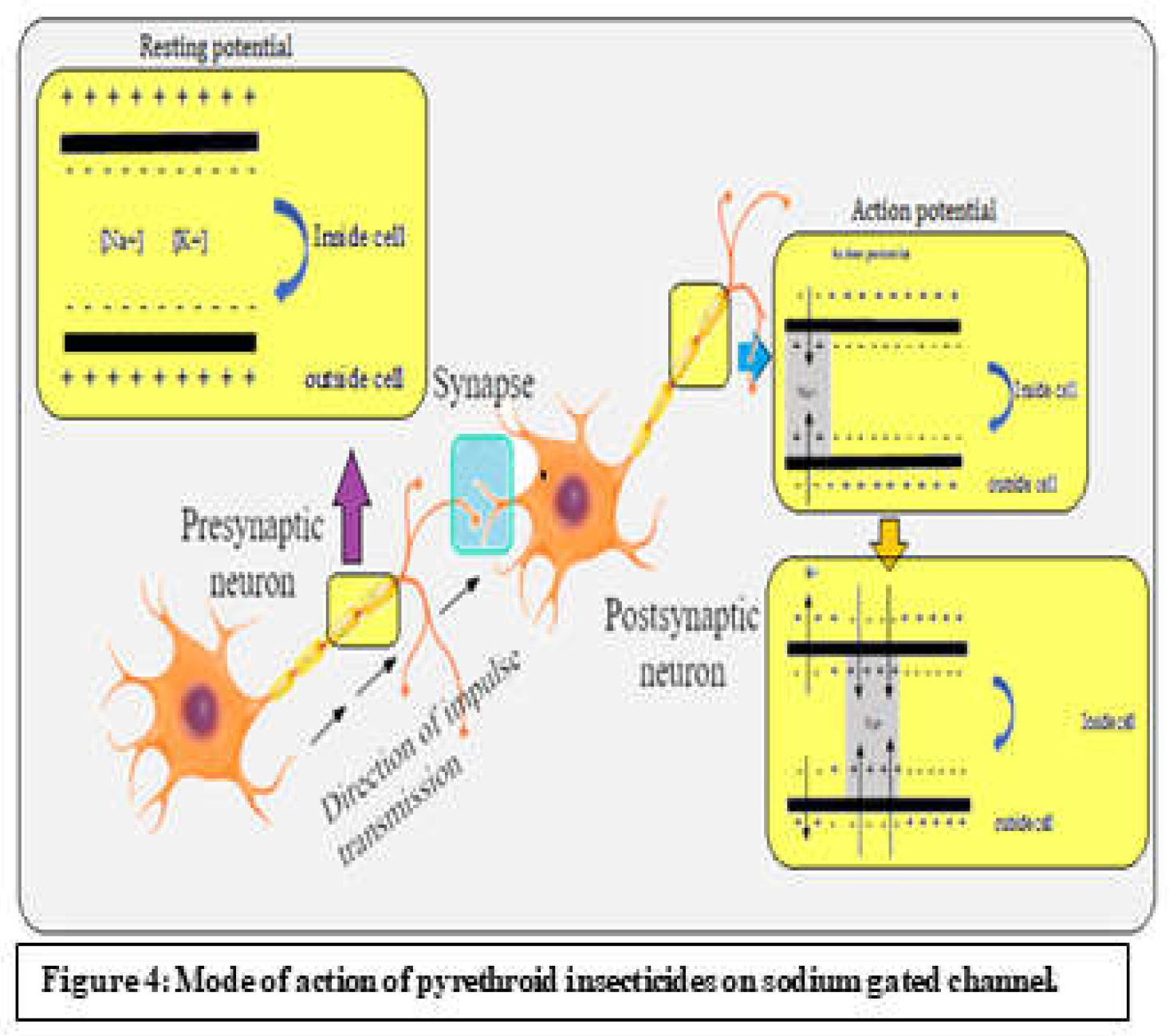 Preprints 115752 g004
