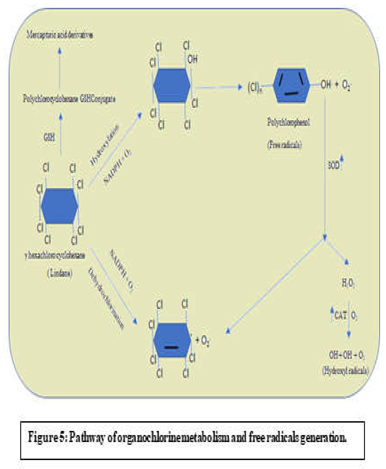 Preprints 115752 g005