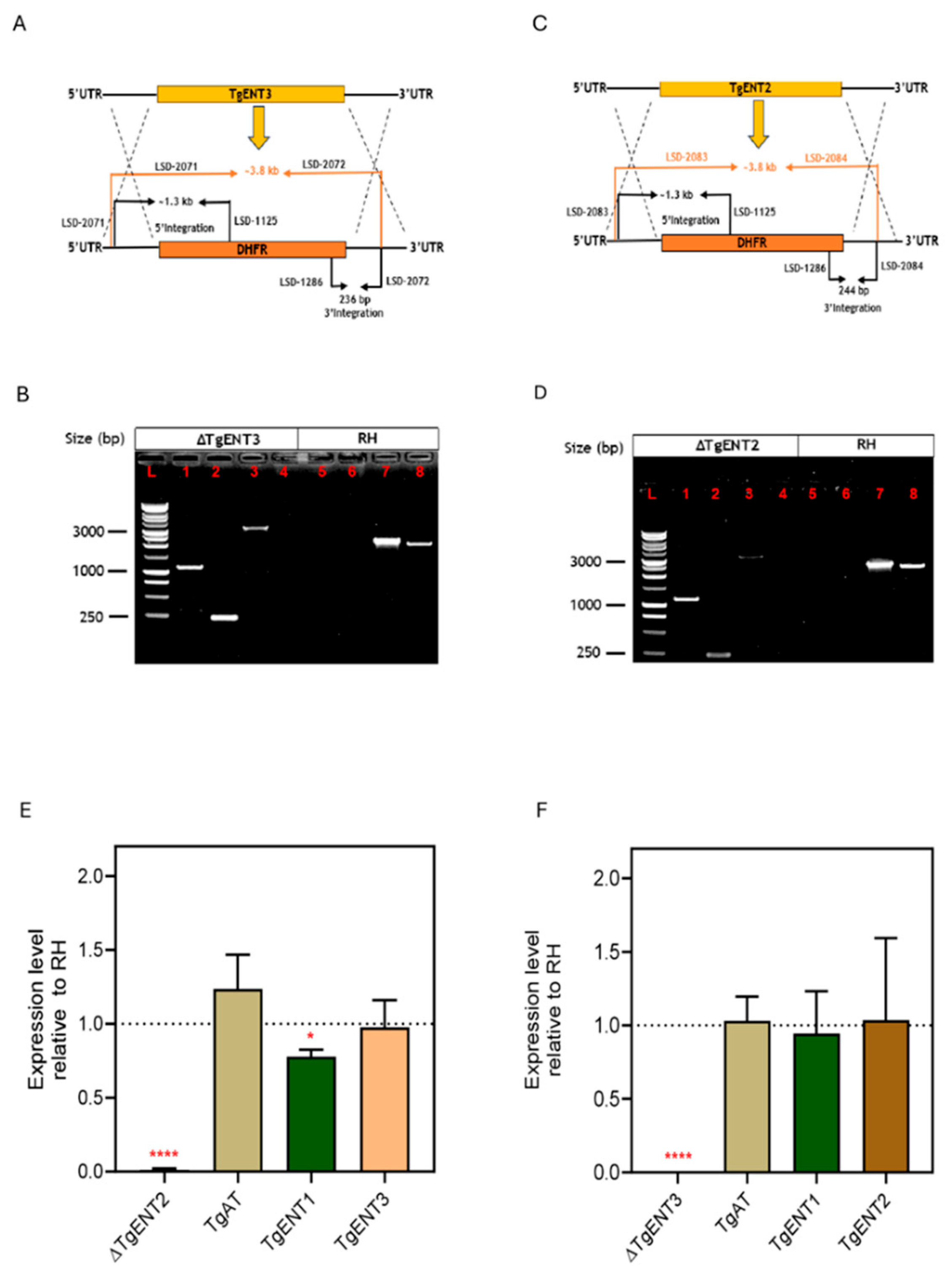 Preprints 196531 g001