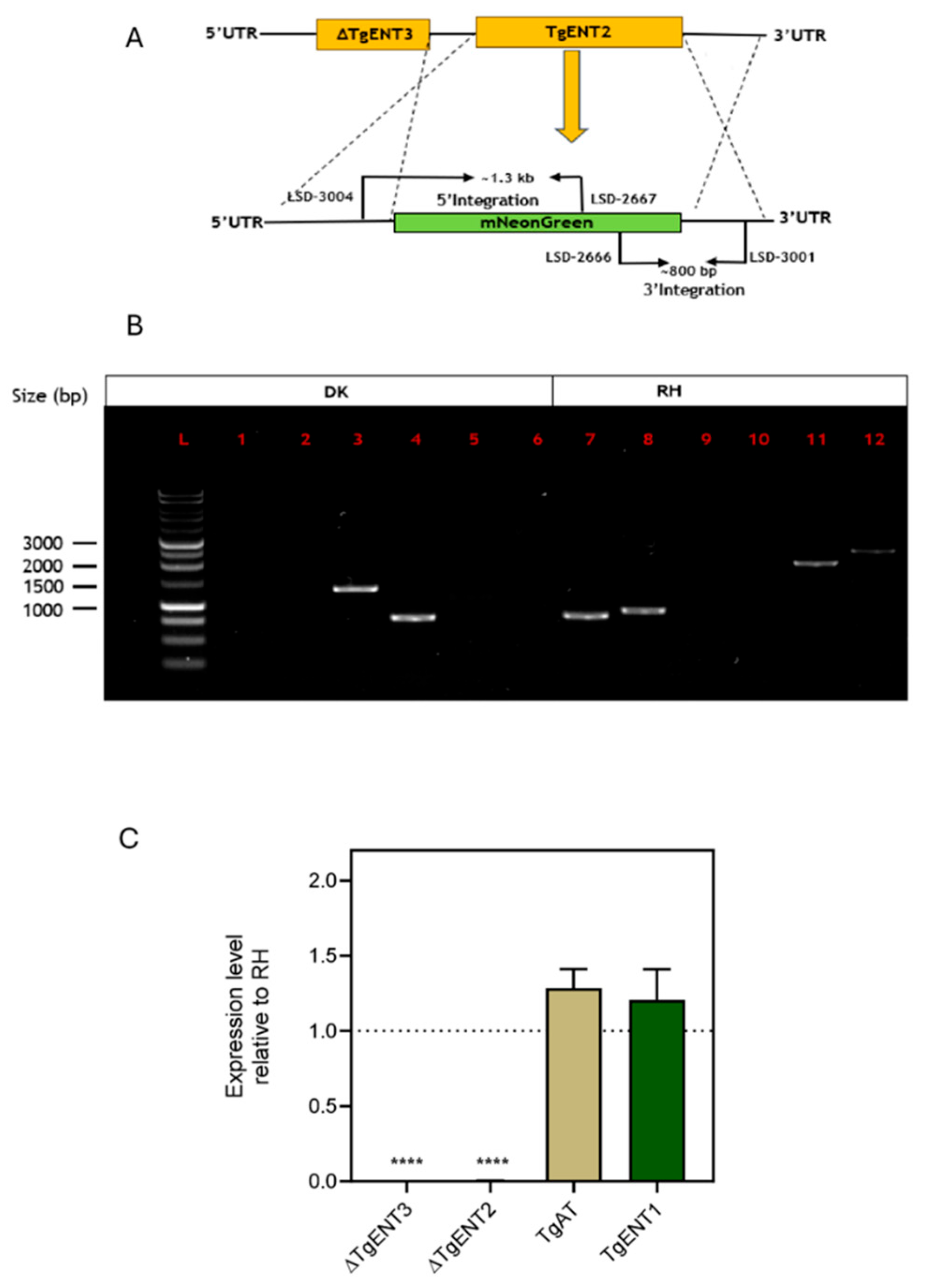 Preprints 196531 g002