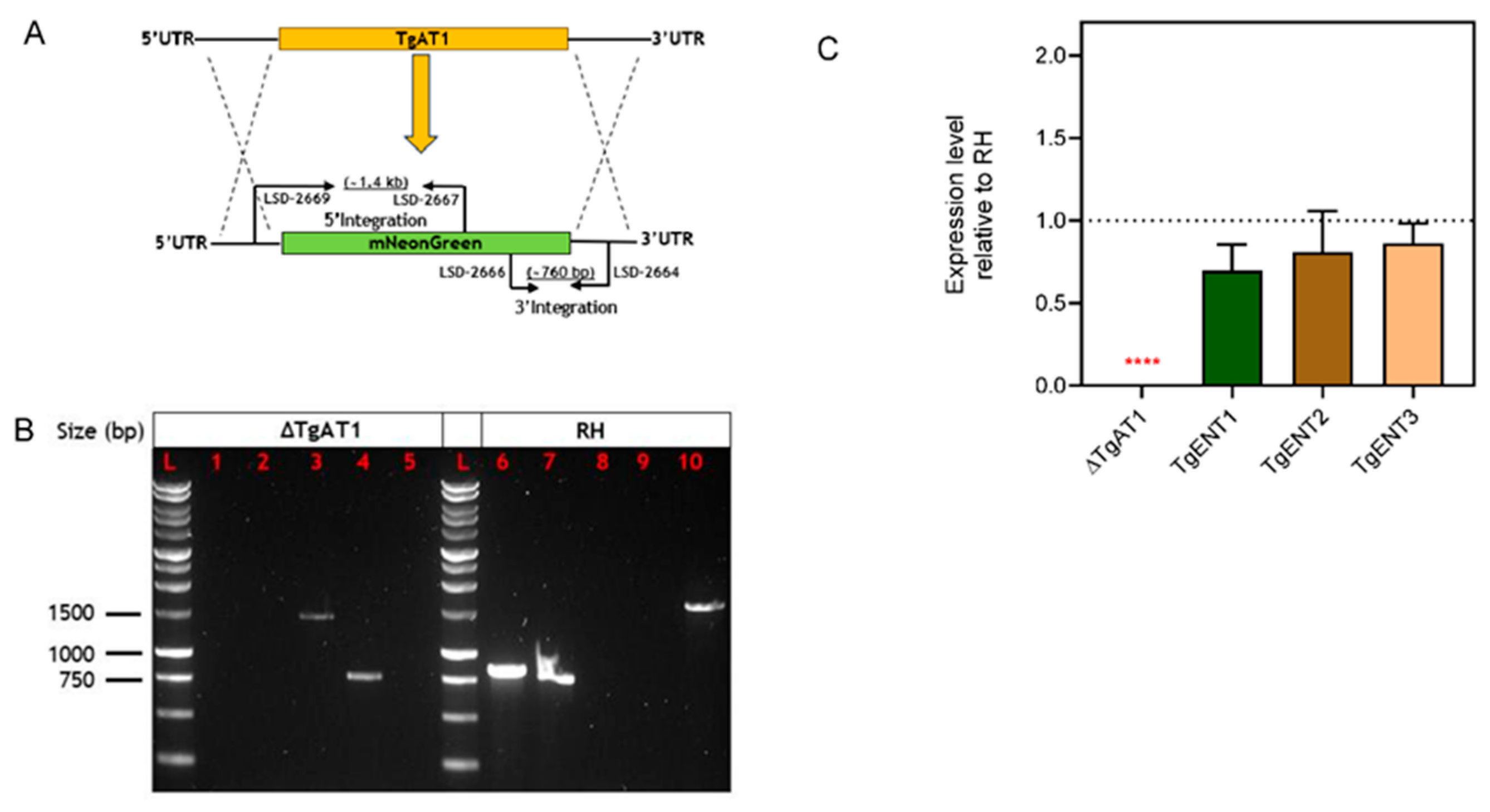 Preprints 196531 g003