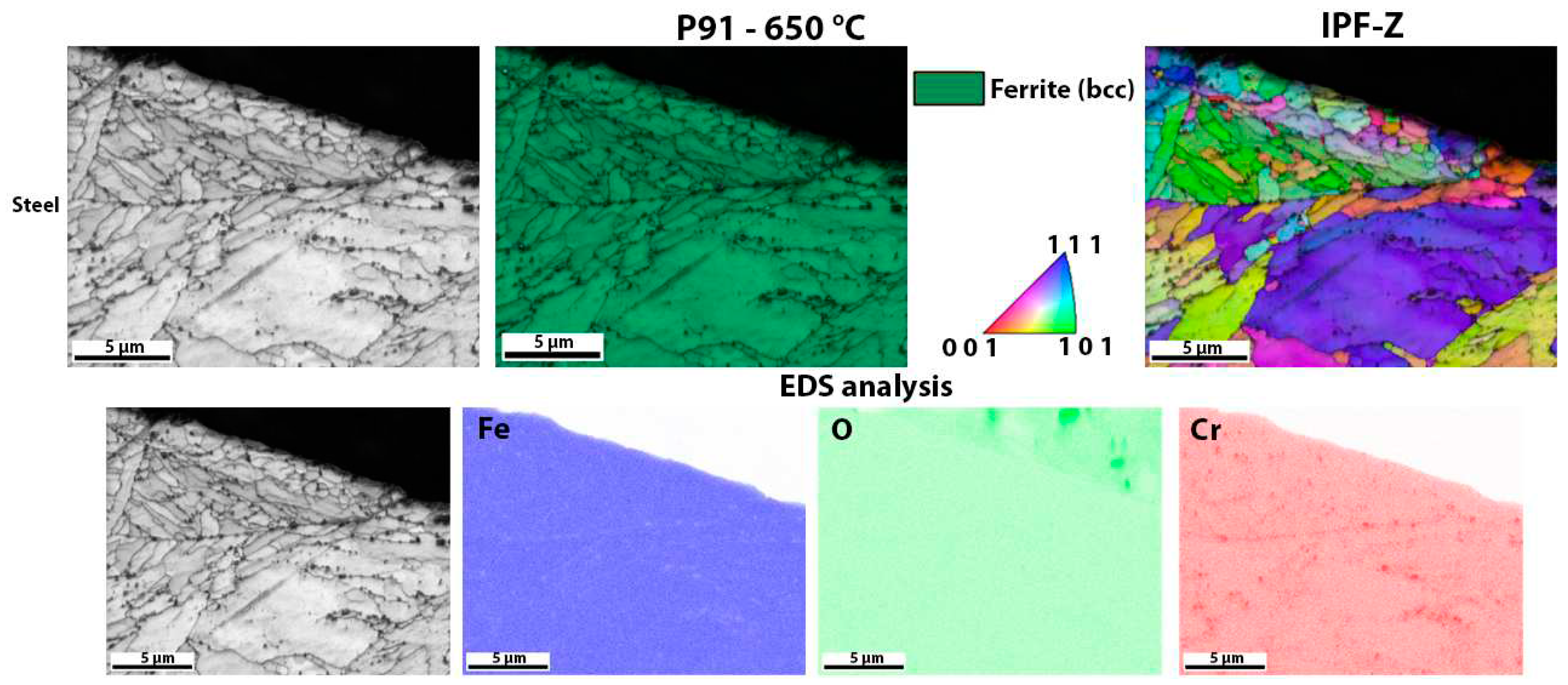 Preprints 85243 g010