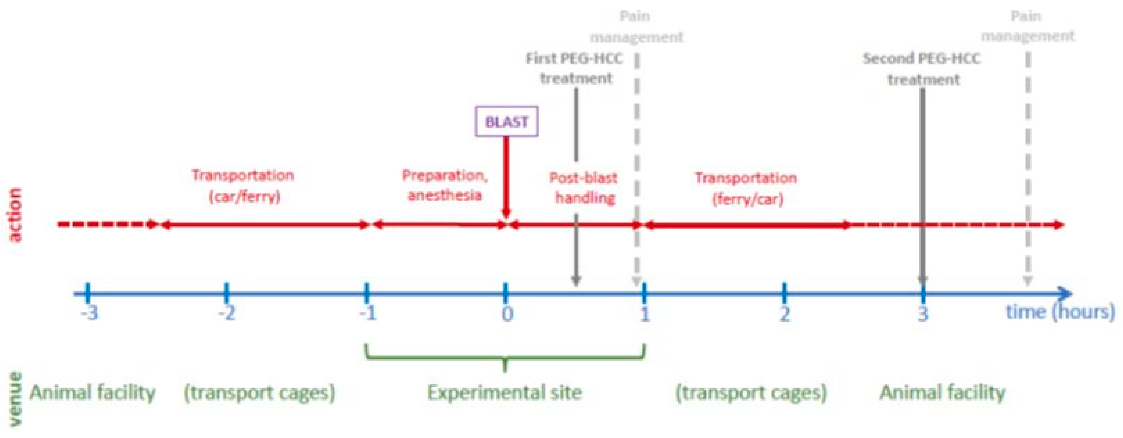 Preprints 137668 g001