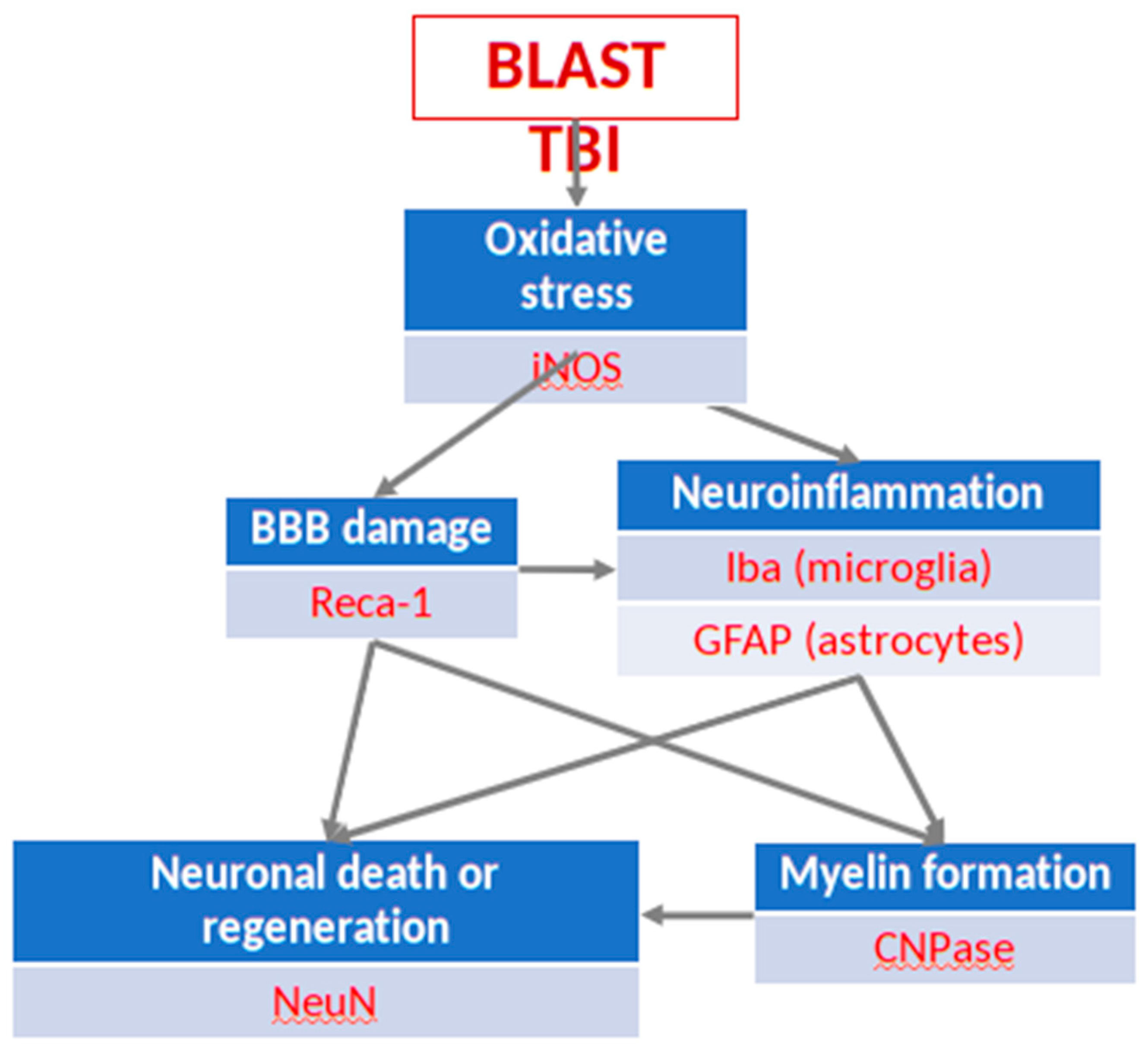 Preprints 137668 g002