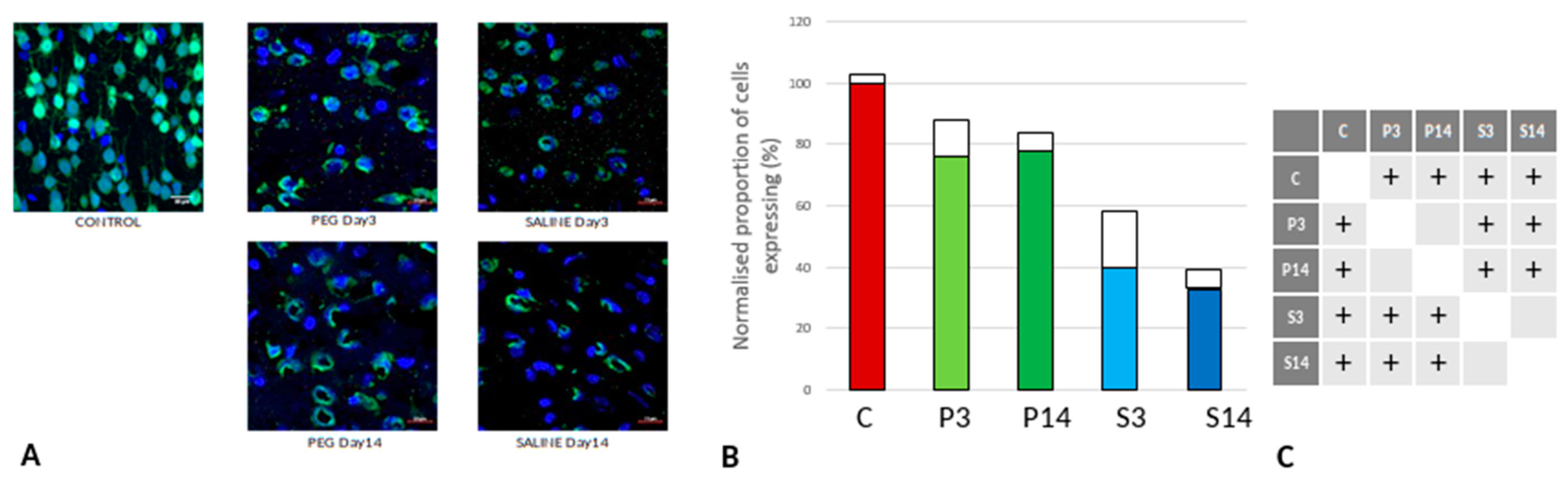 Preprints 137668 g003