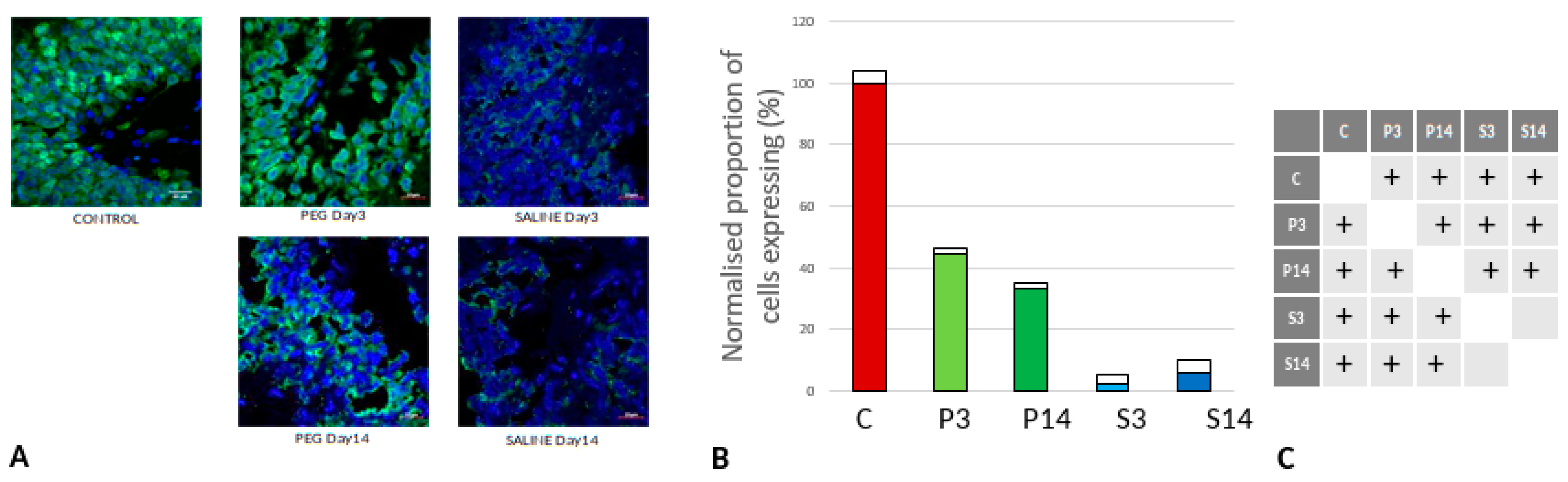 Preprints 137668 g004