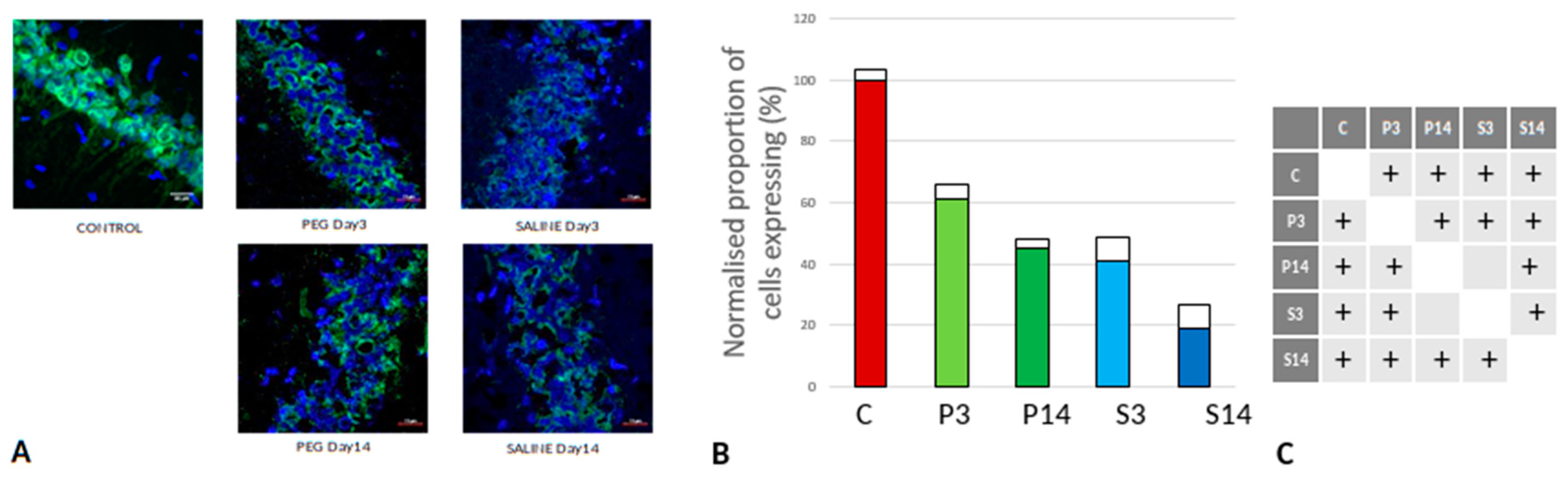 Preprints 137668 g005
