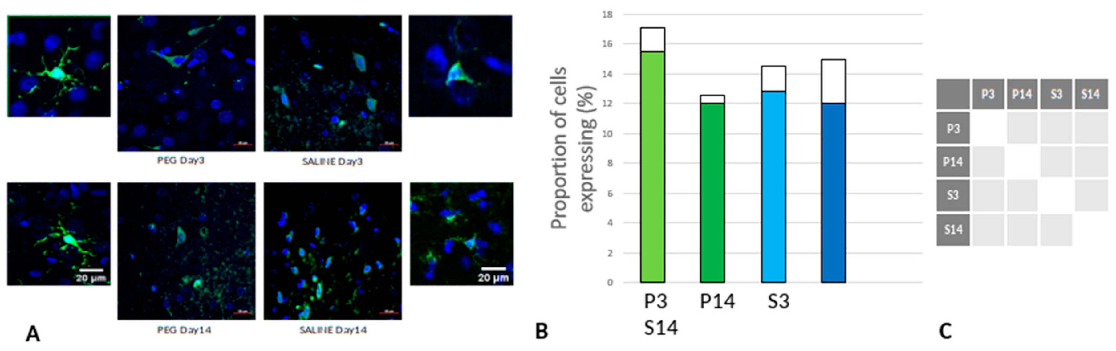 Preprints 137668 g006