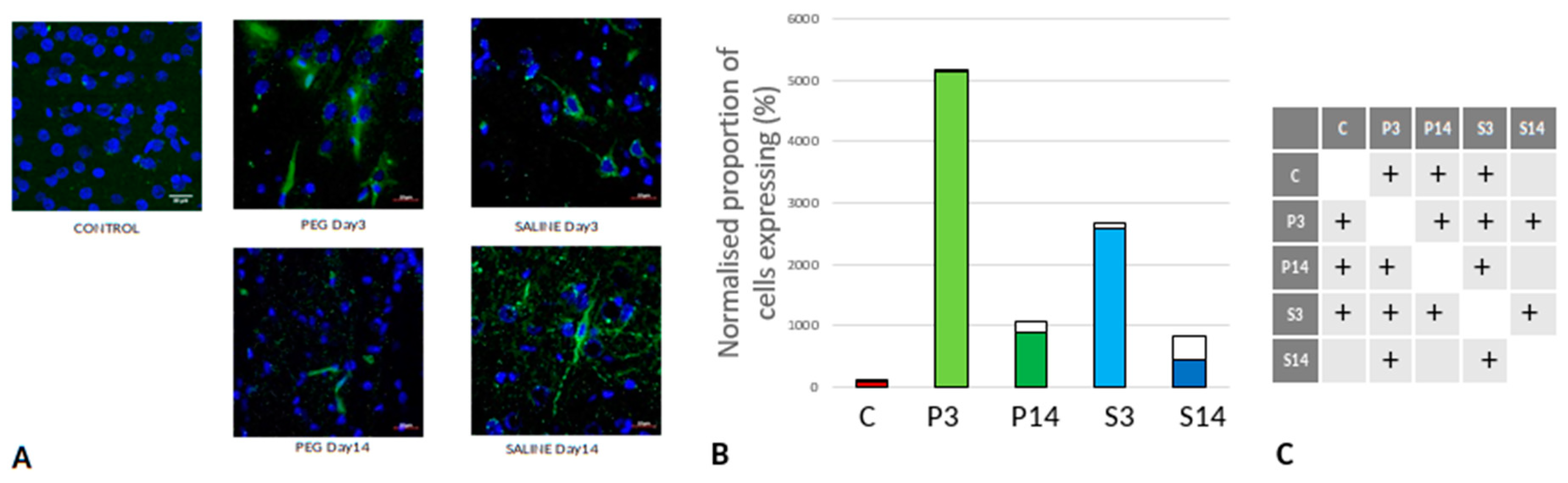 Preprints 137668 g009