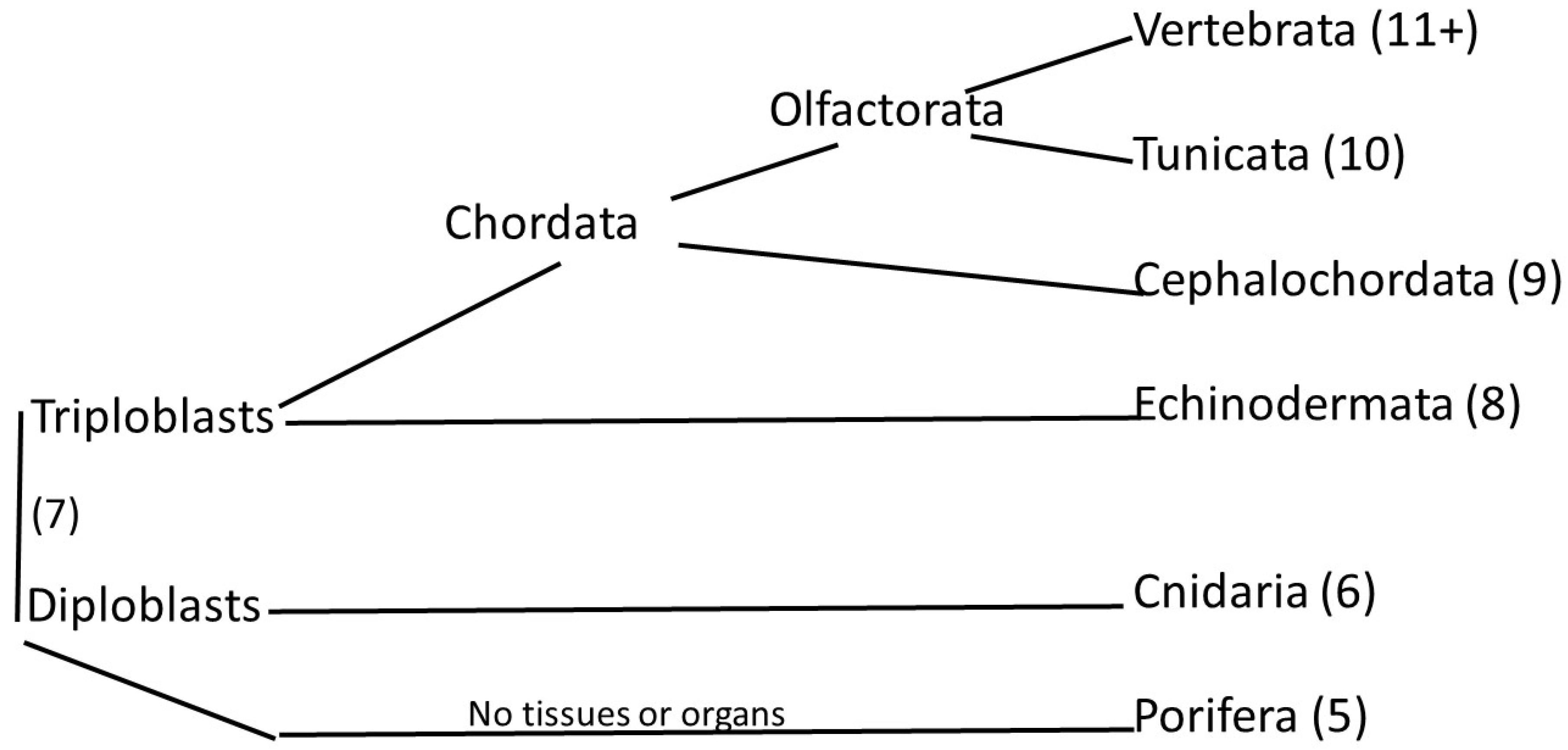 Preprints 104062 g001