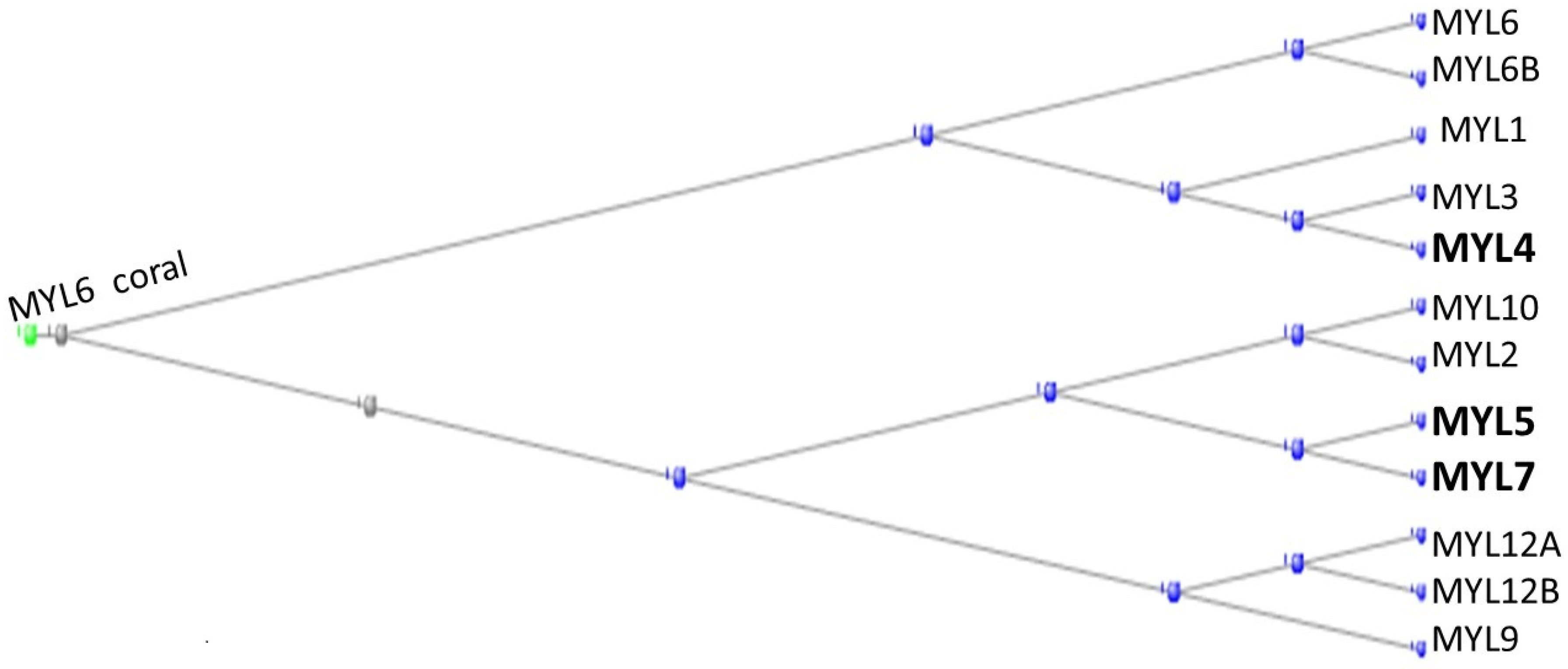 Preprints 104062 g002
