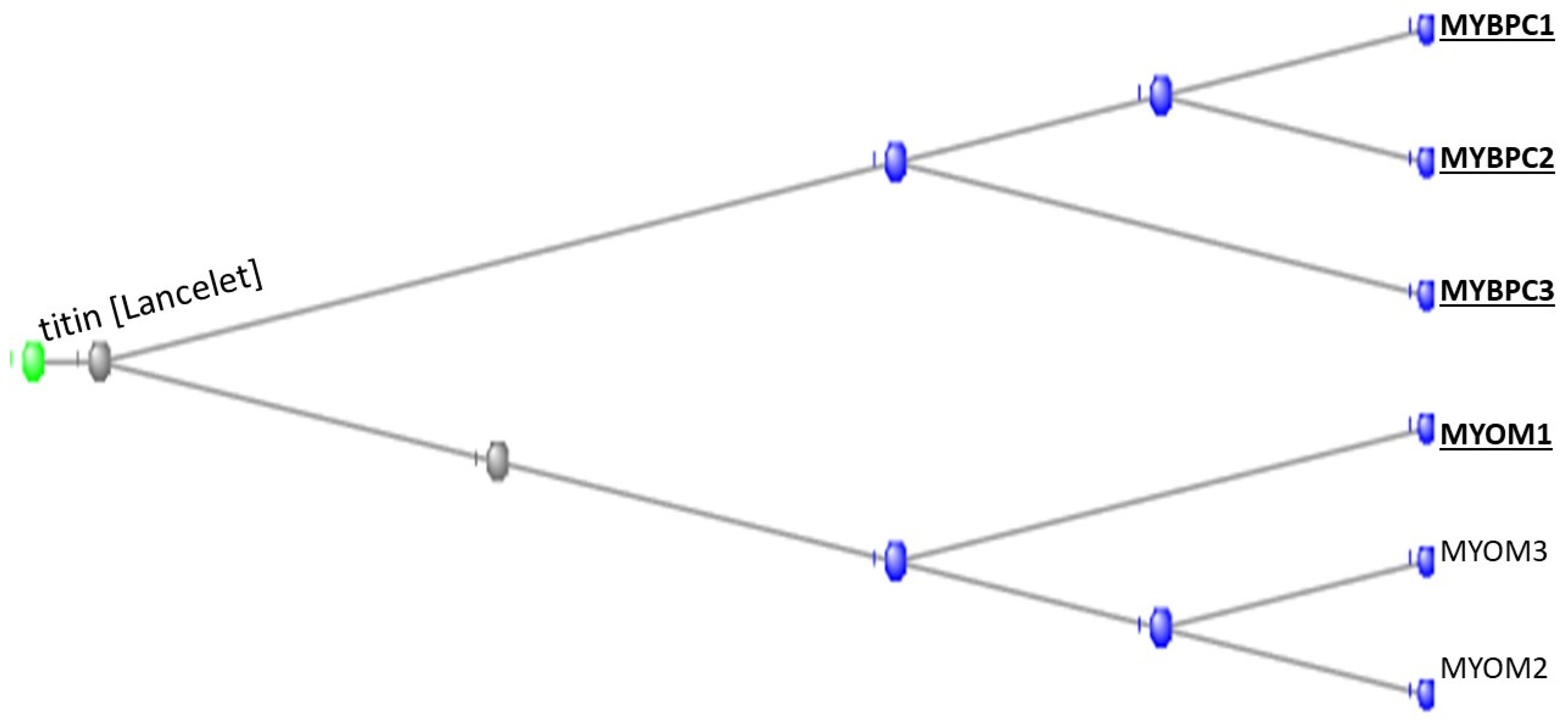 Preprints 104062 g004