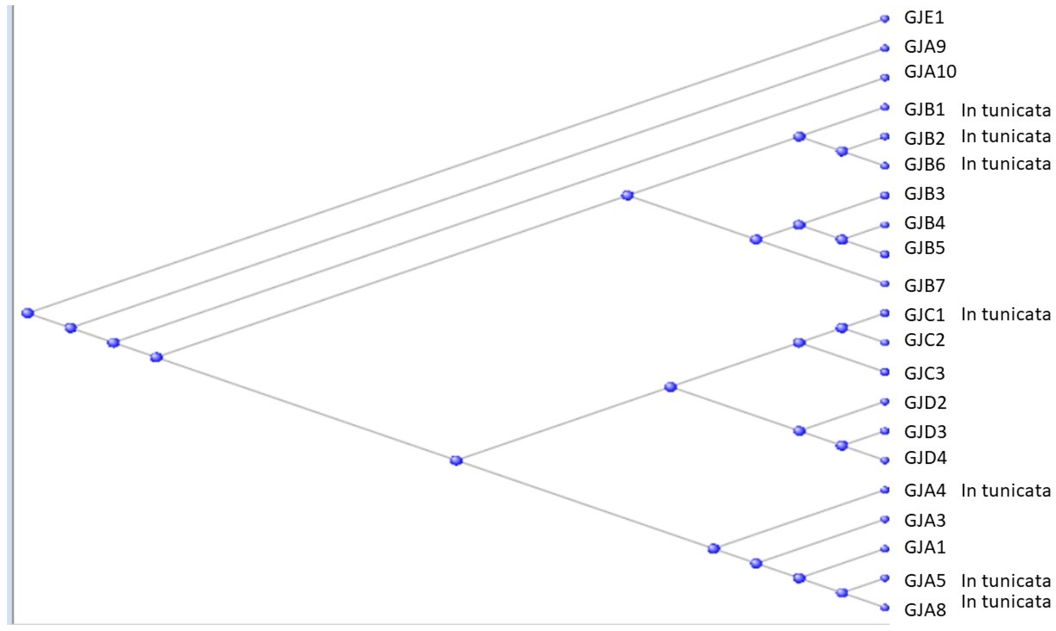 Preprints 104062 g005