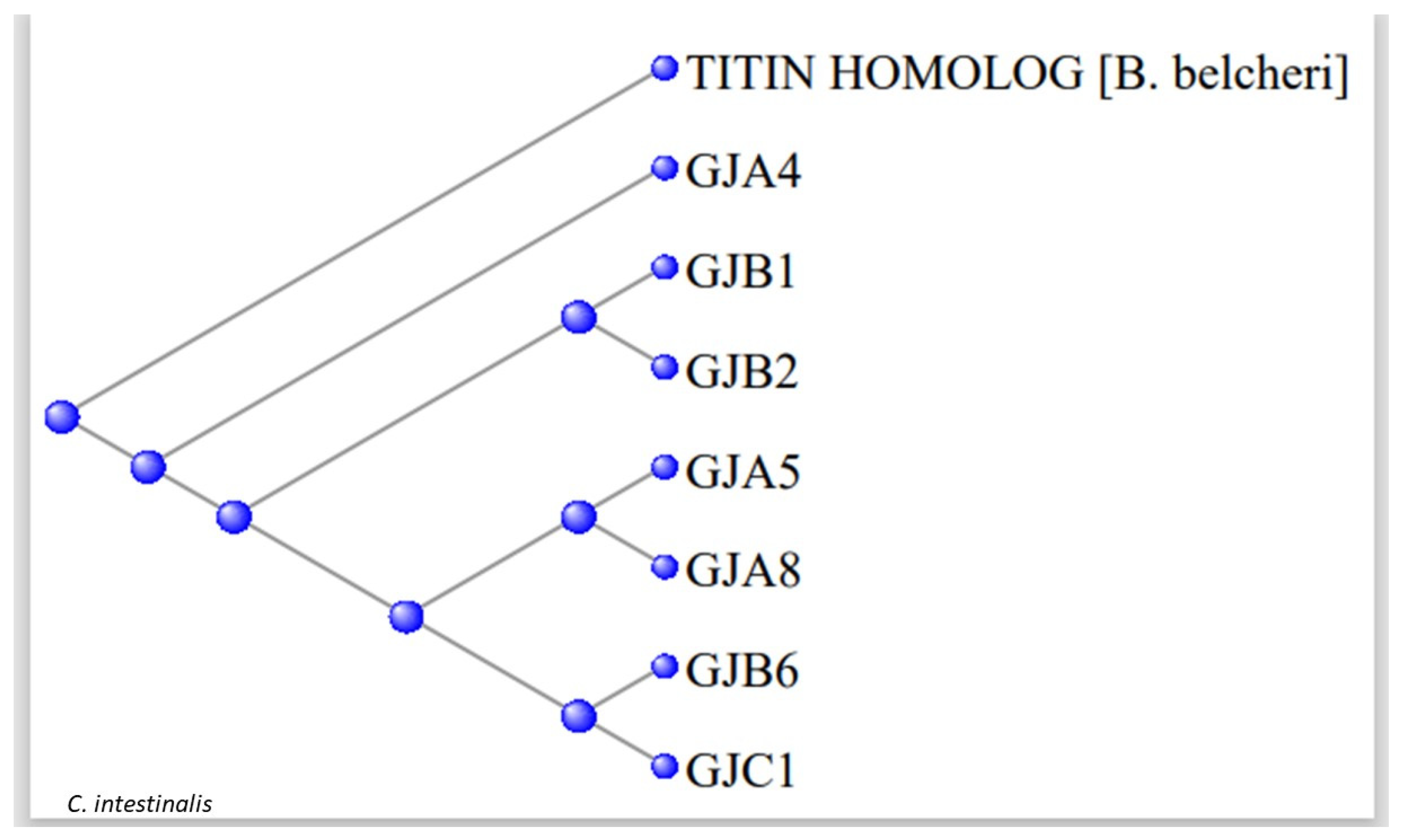 Preprints 104062 g007