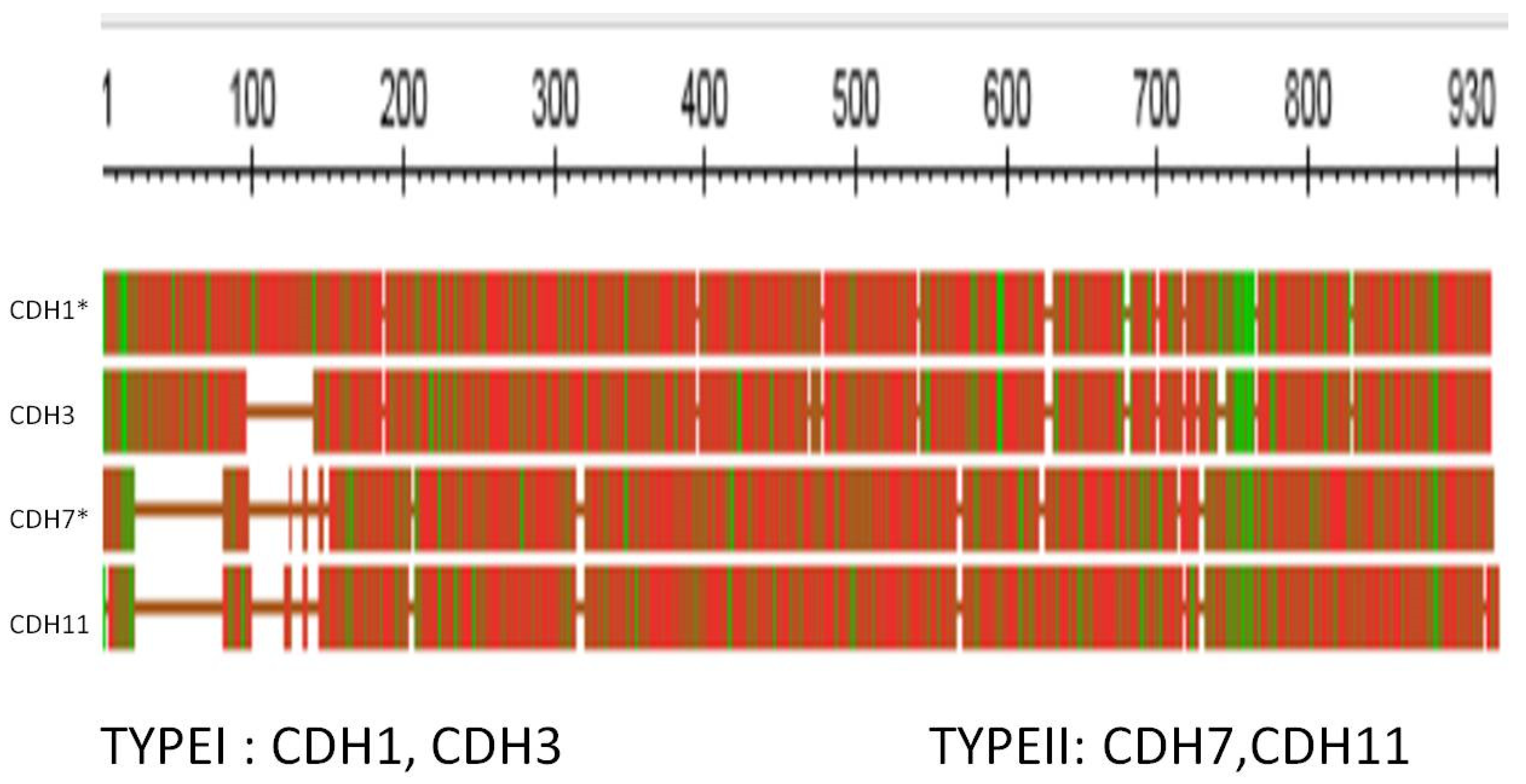 Preprints 104062 g008
