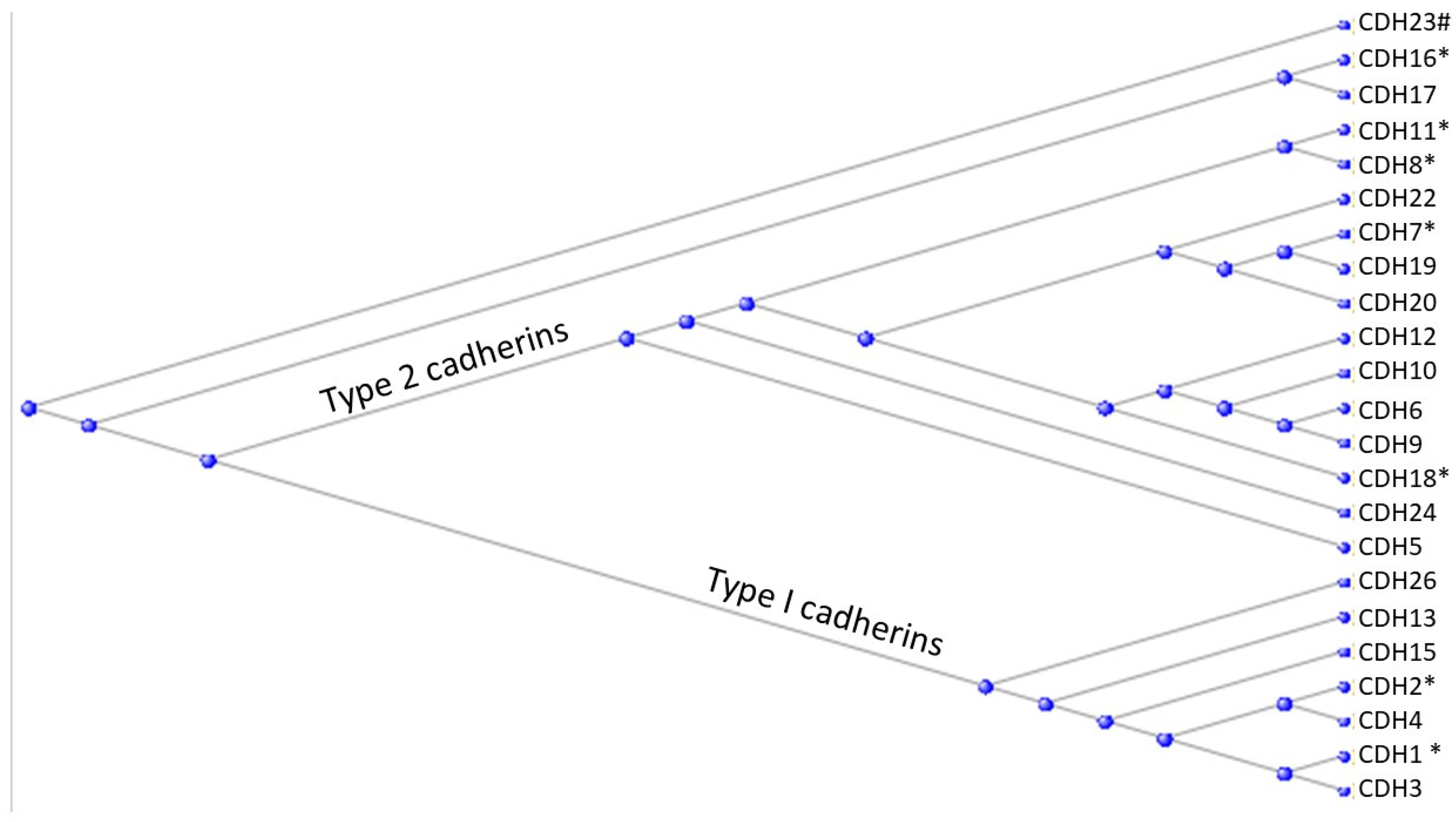 Preprints 104062 g010
