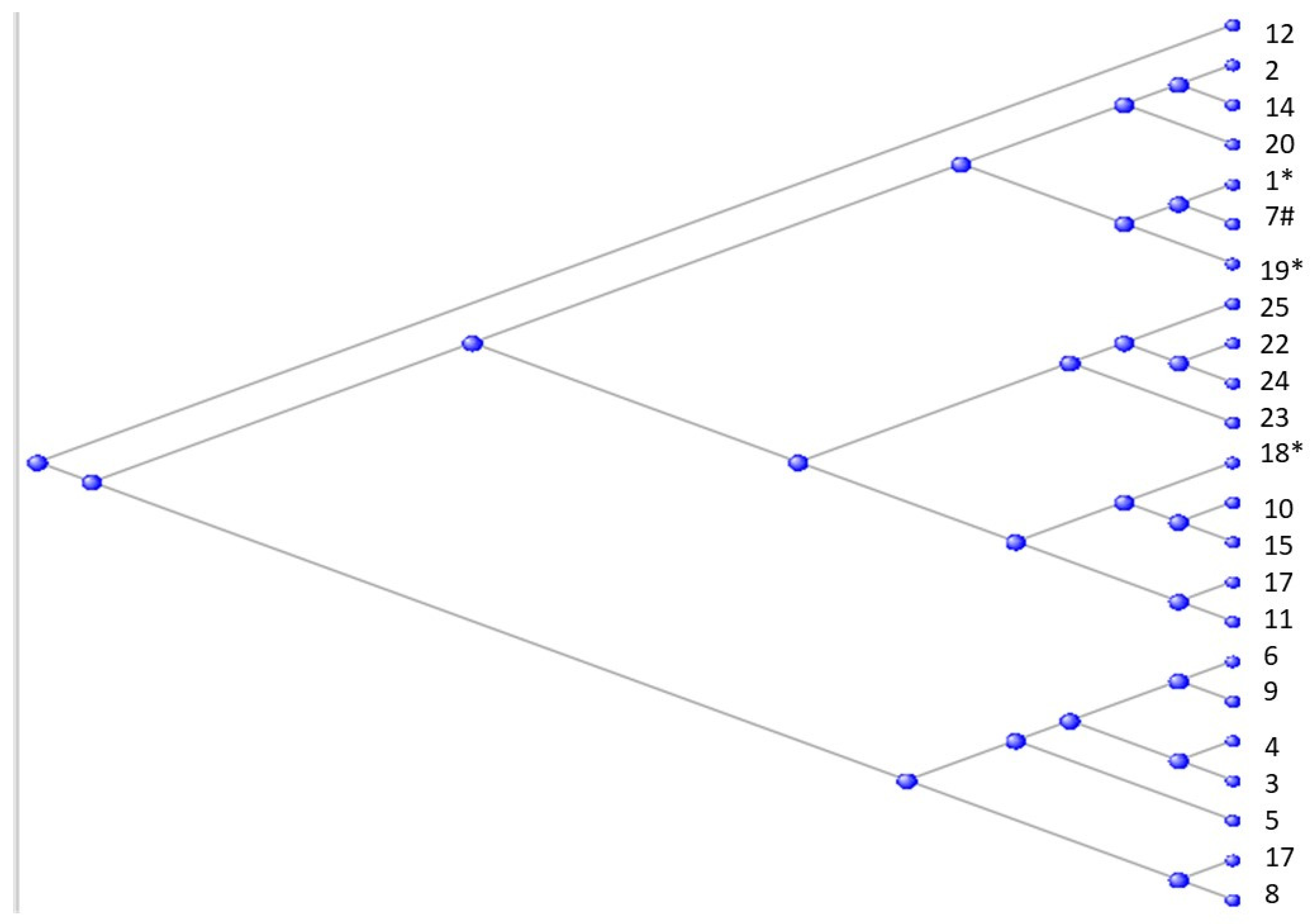 Preprints 104062 g011