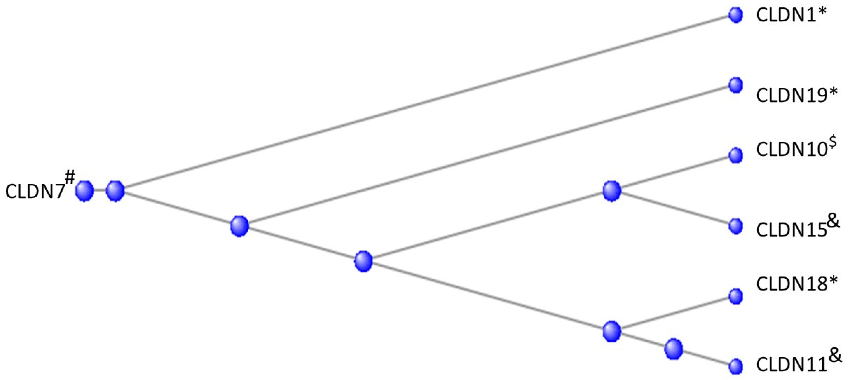 Preprints 104062 g012