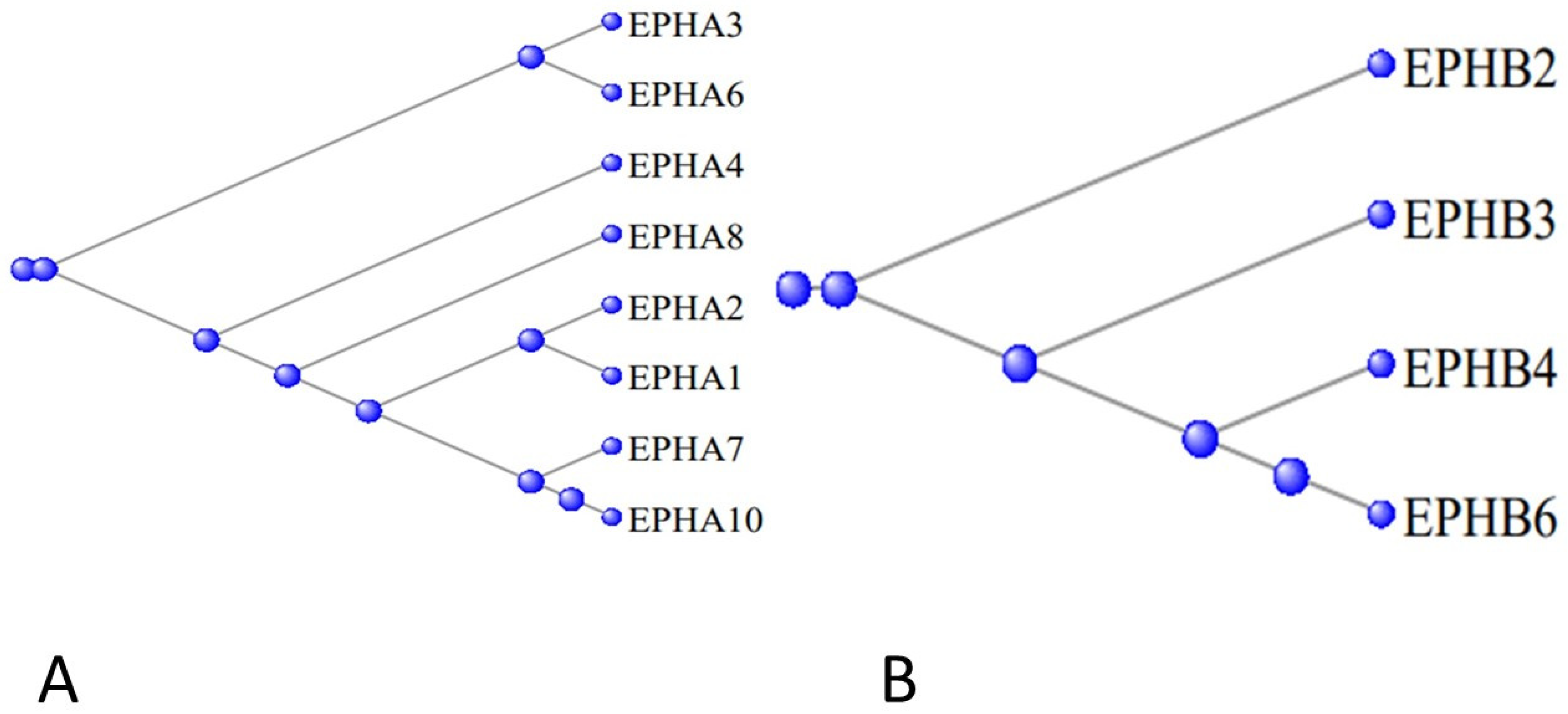 Preprints 104062 g014