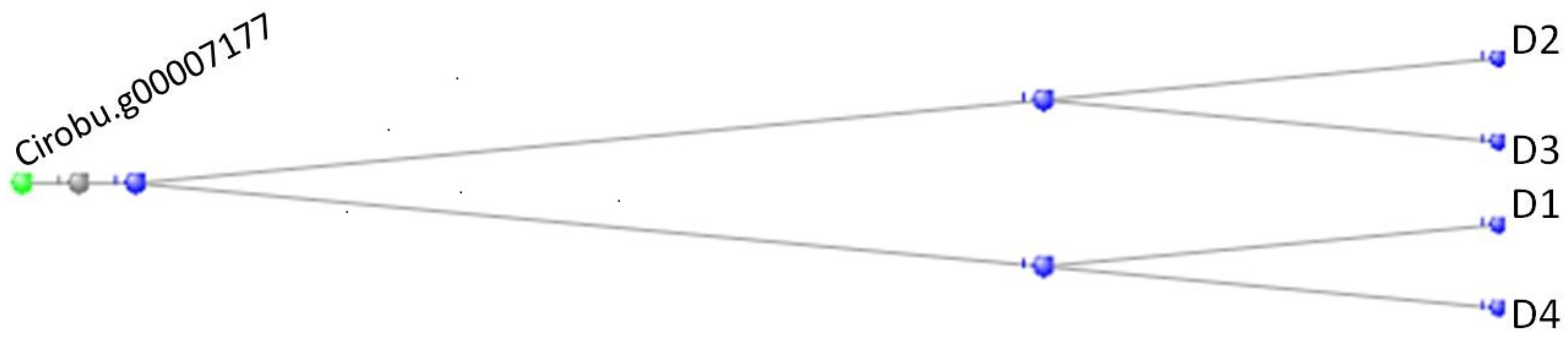 Preprints 104062 g017