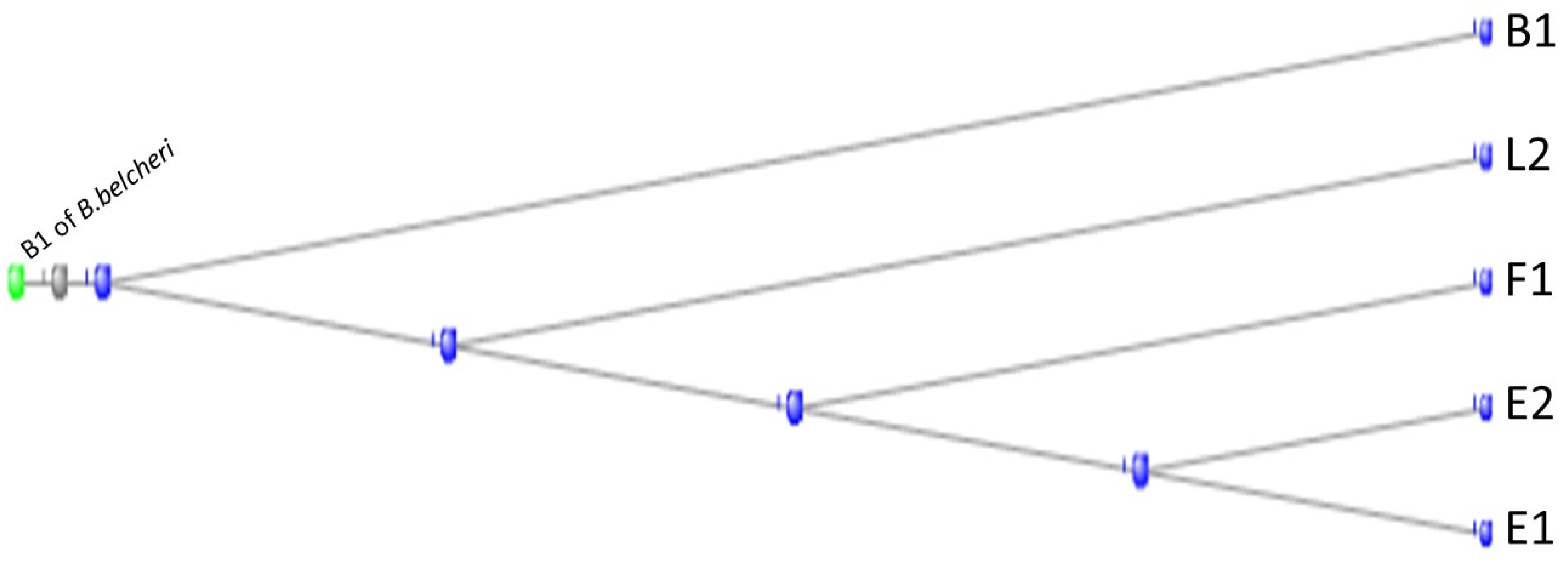 Preprints 104062 g018