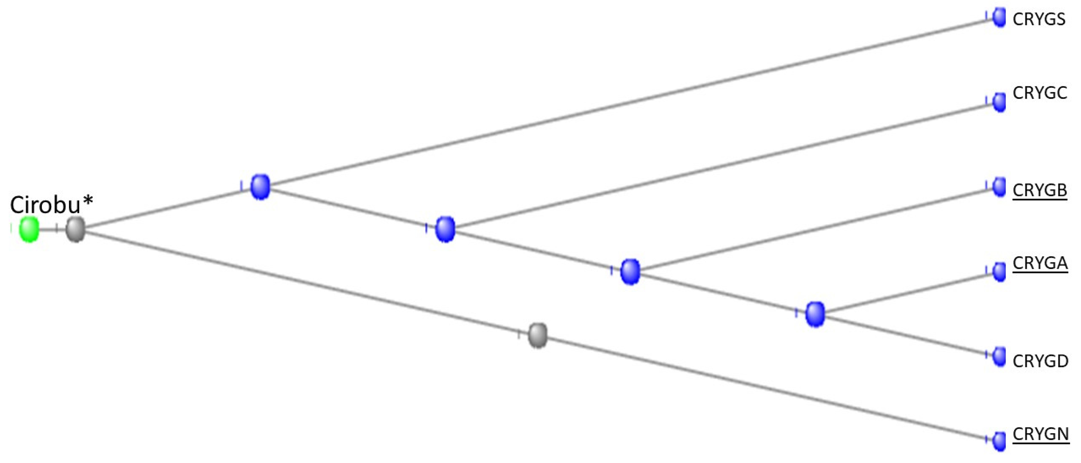 Preprints 104062 g020