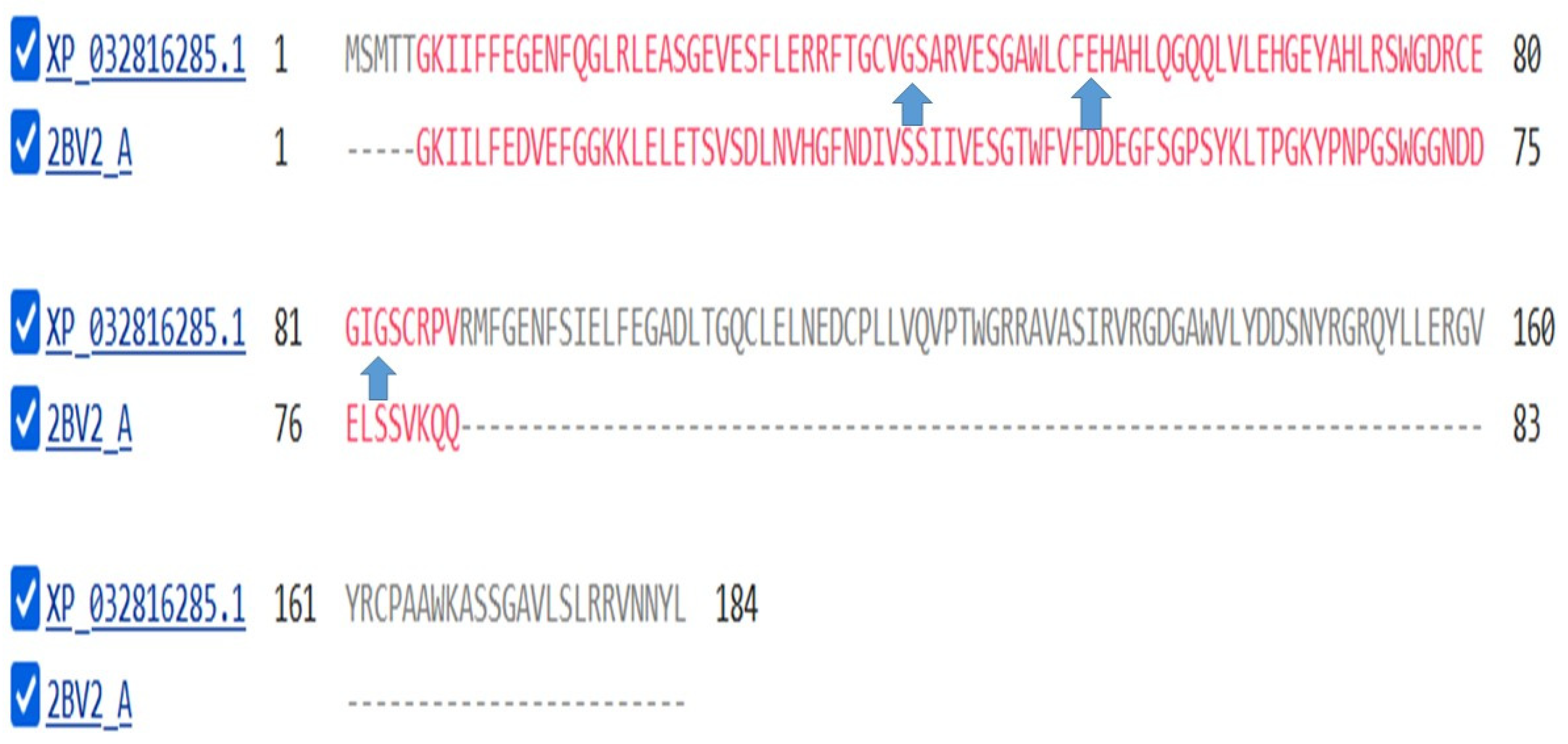 Preprints 104062 g022