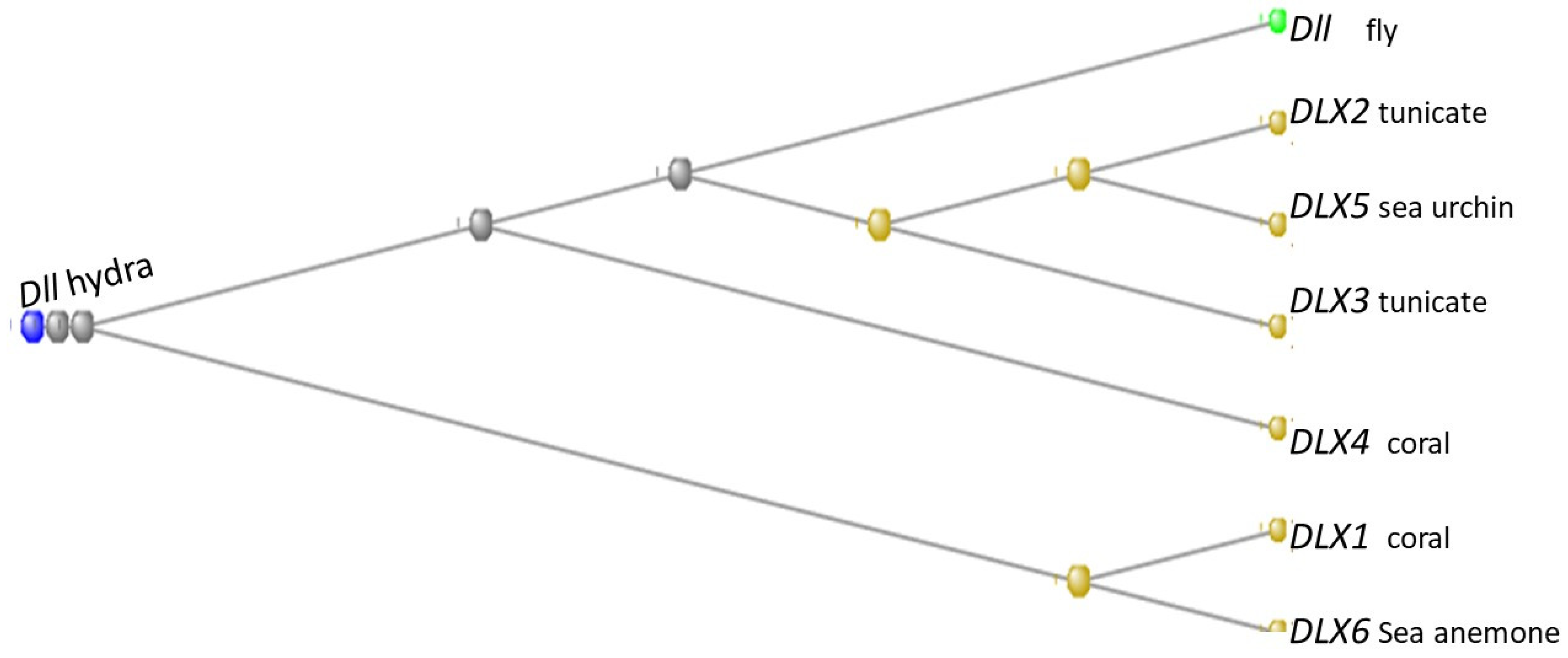Preprints 104062 g023
