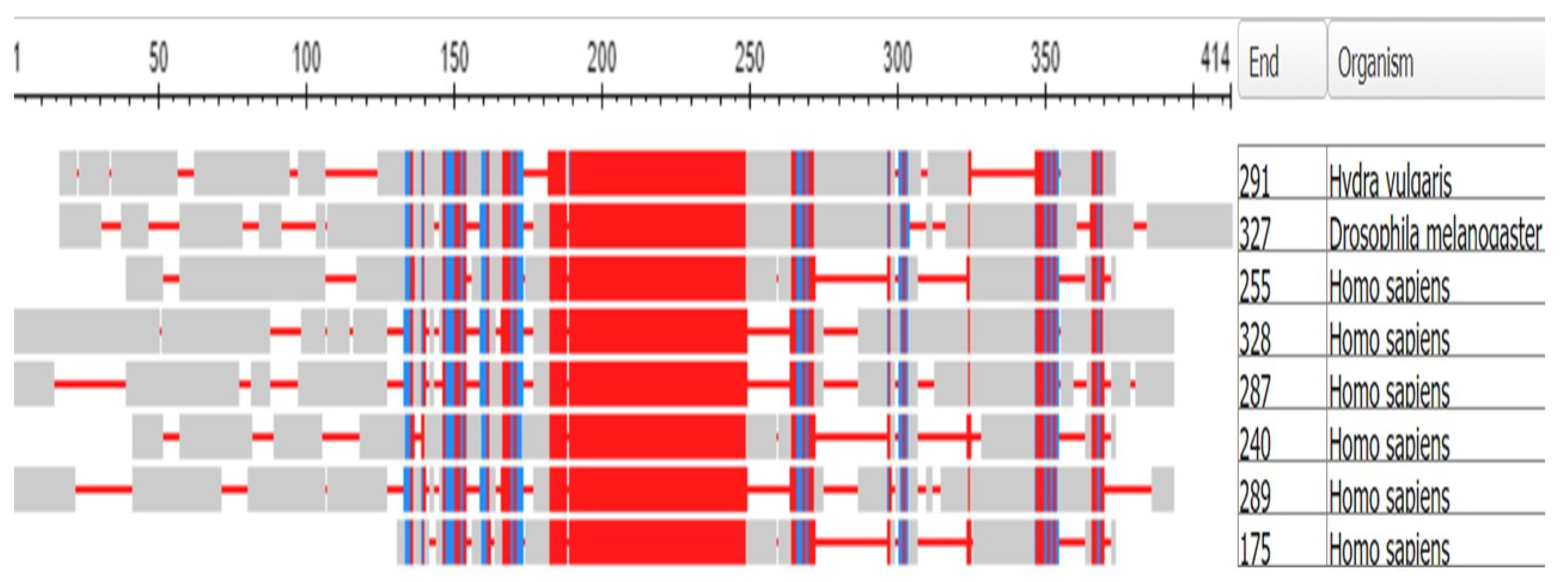 Preprints 104062 g024