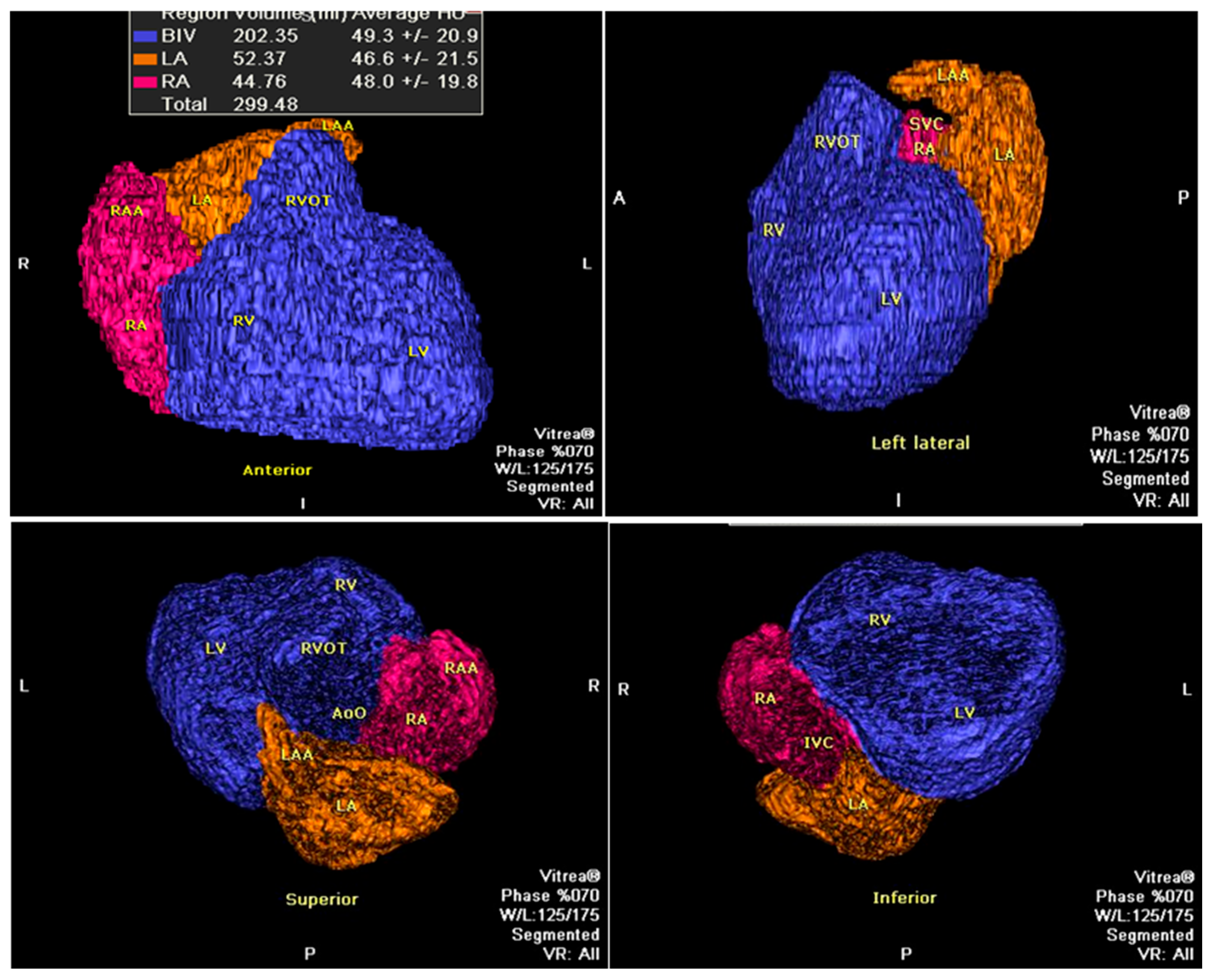 Preprints 199346 g002