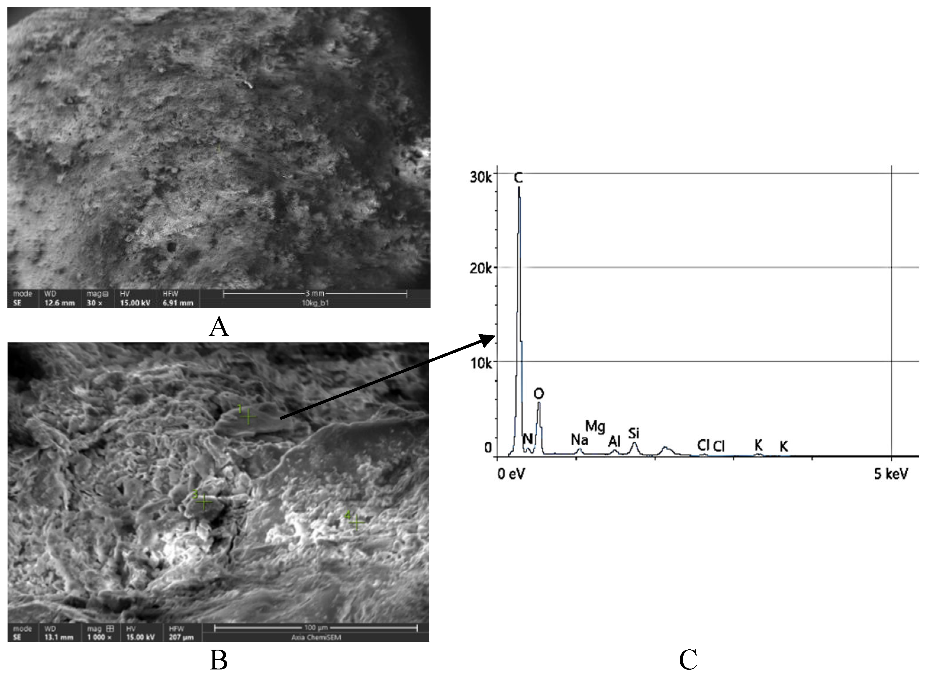 Preprints 107464 g007