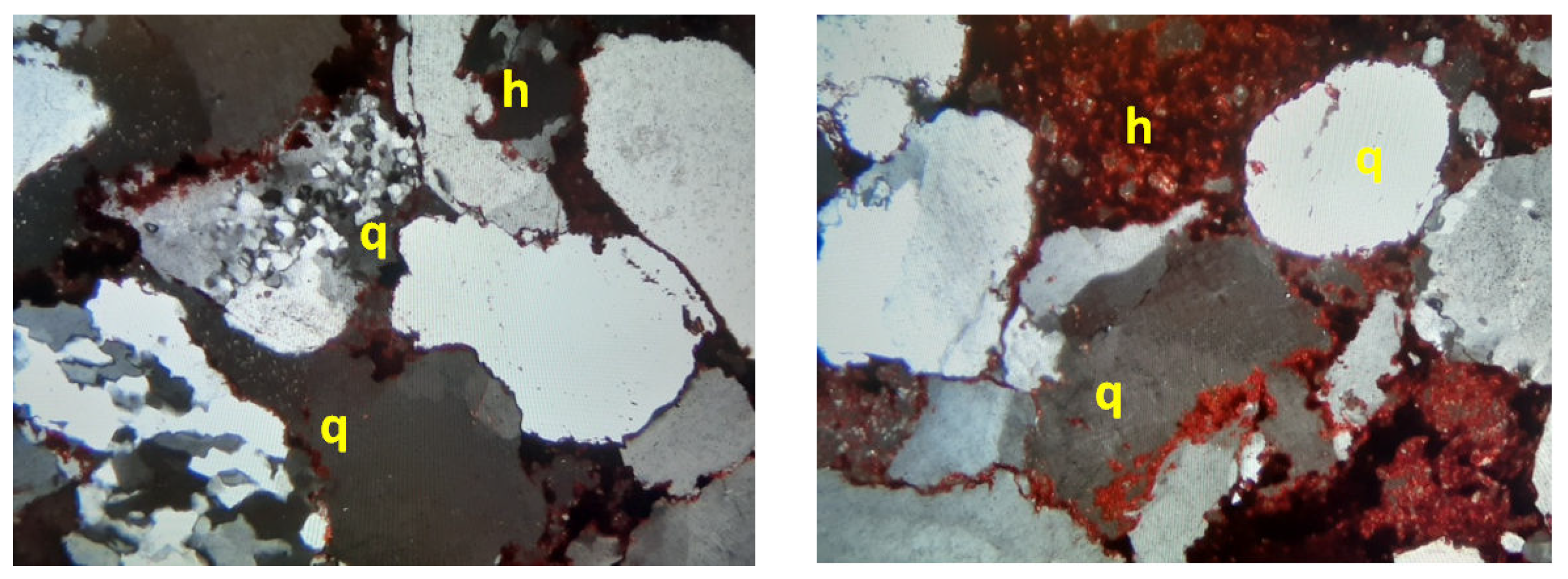 Preprints 107464 g010