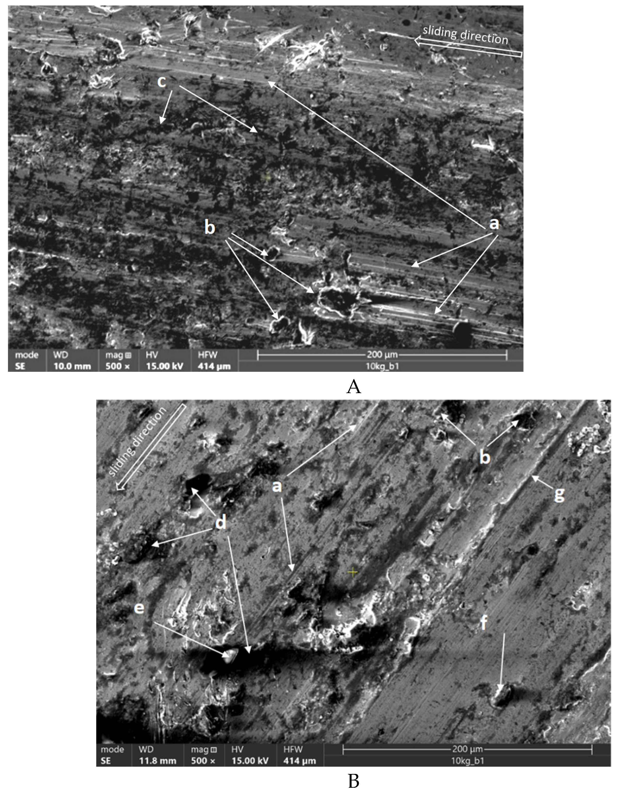 Preprints 107464 g018