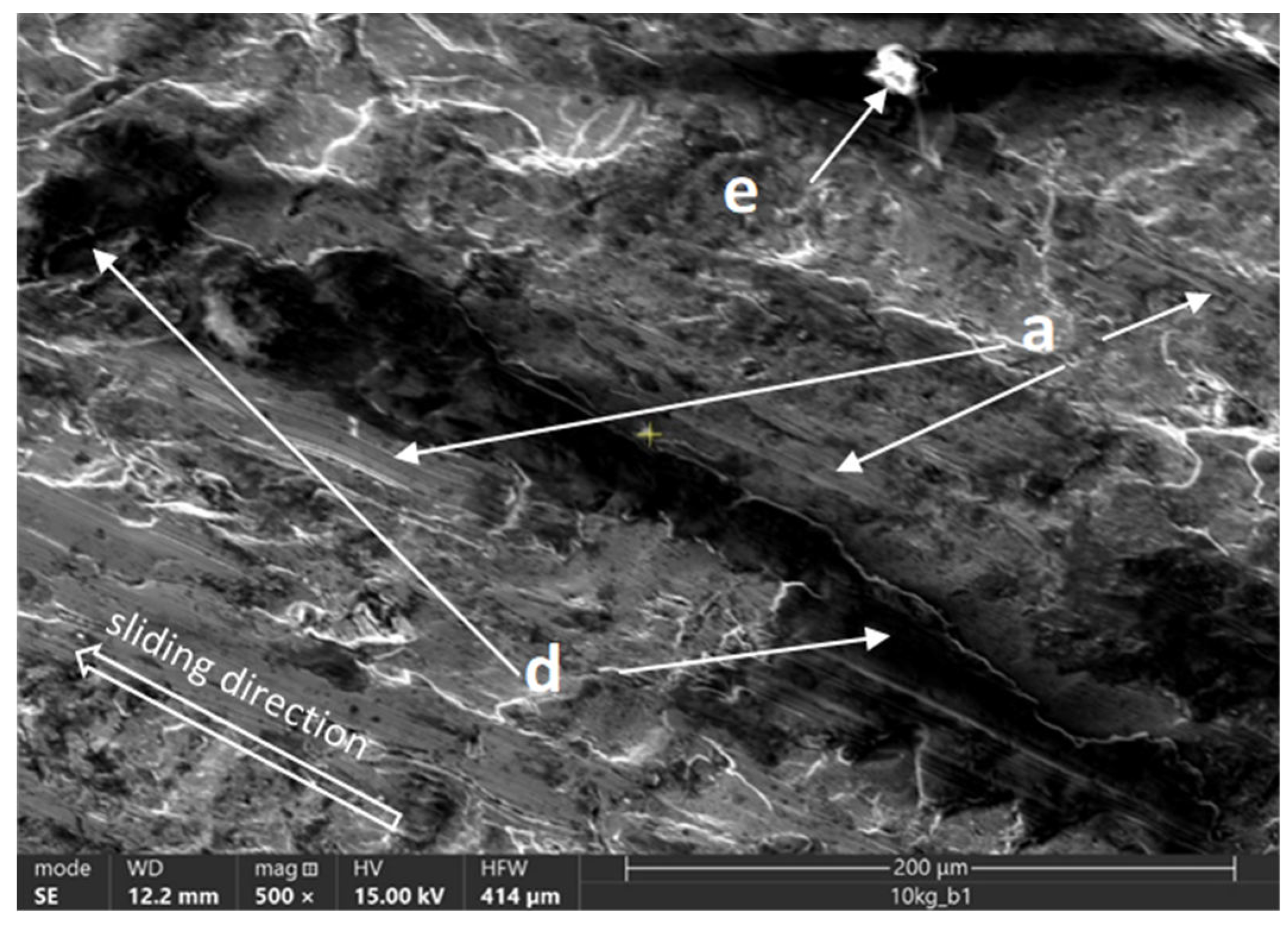Preprints 107464 g019