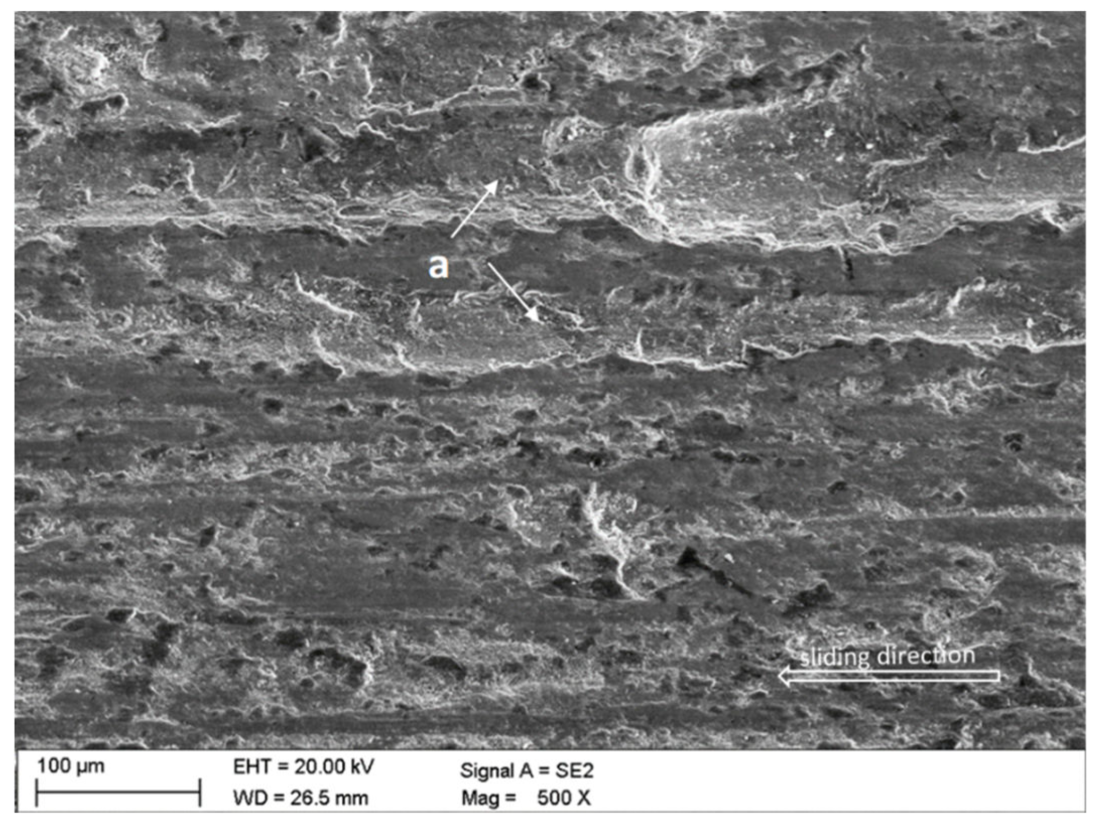 Preprints 107464 g021