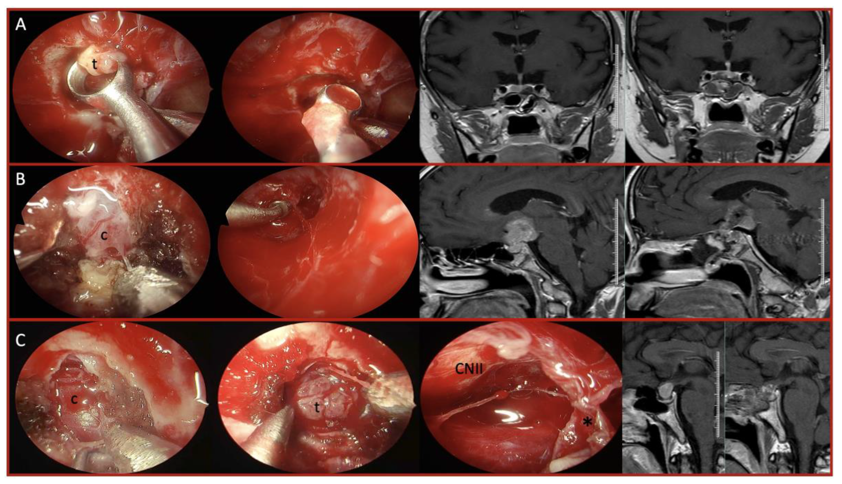 Preprints 170540 g001