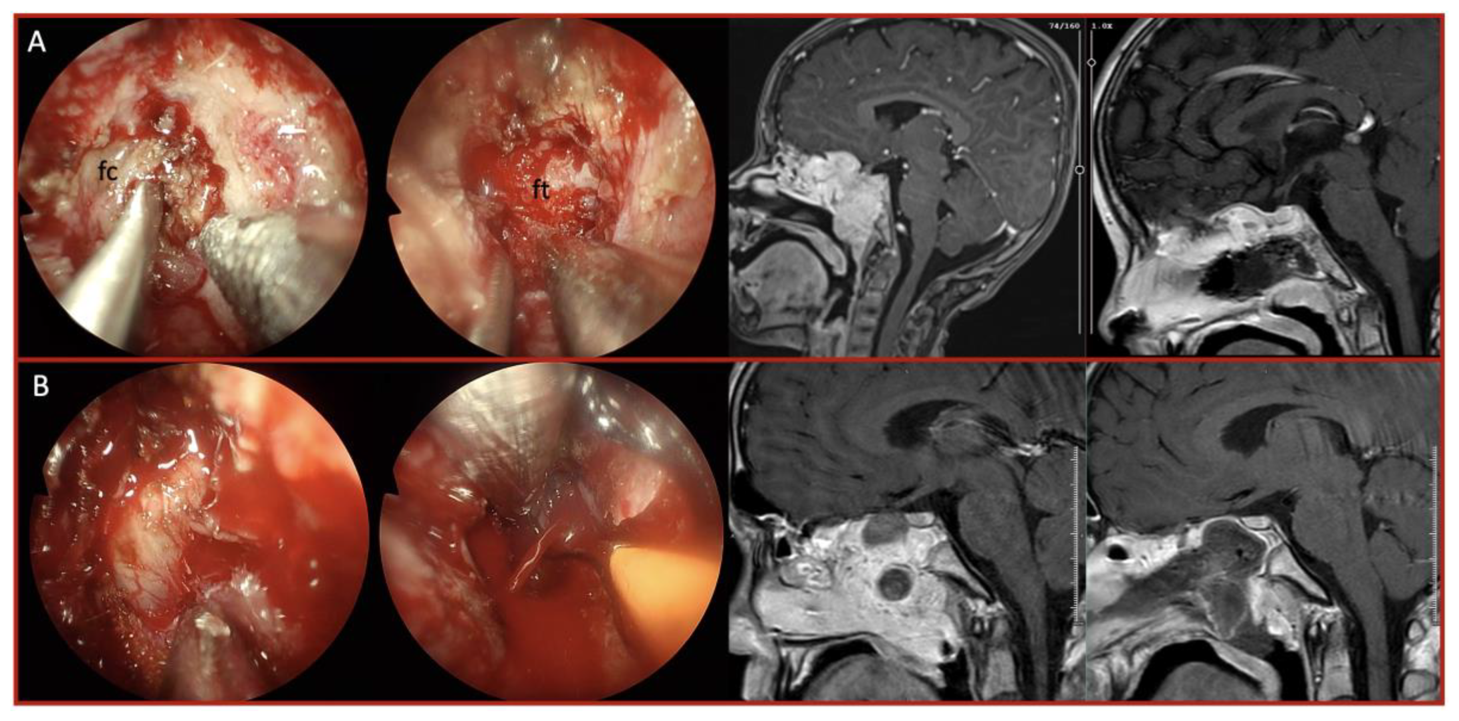 Preprints 170540 g002