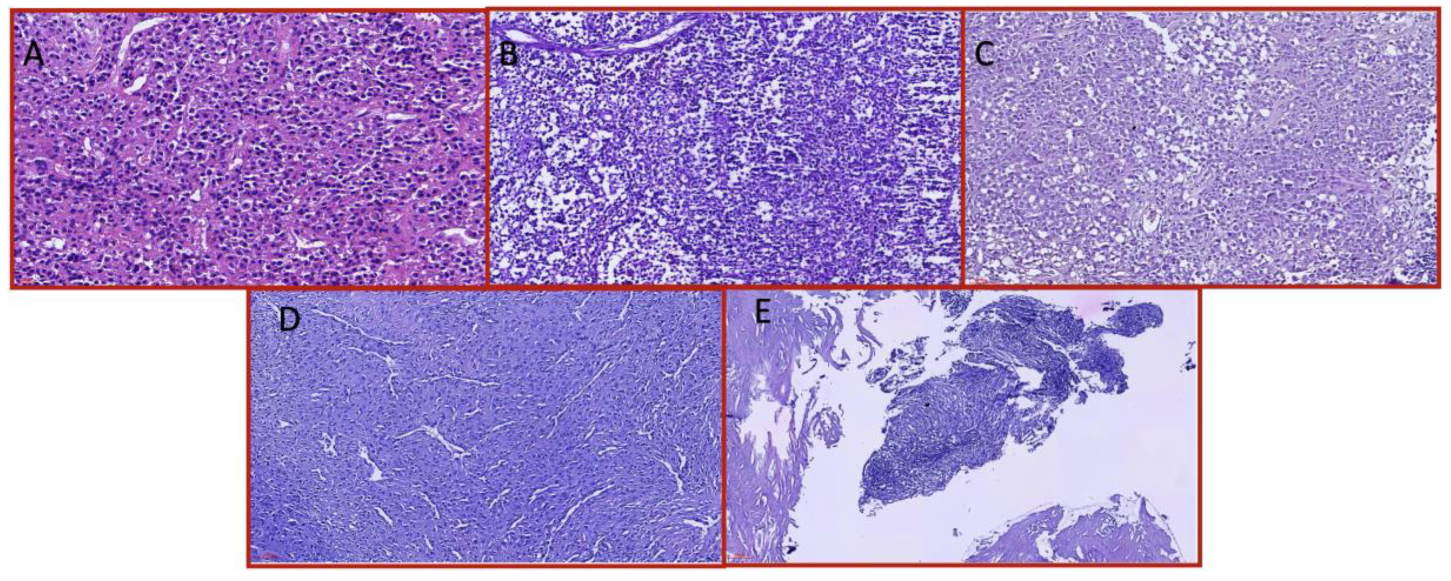 Preprints 170540 g003