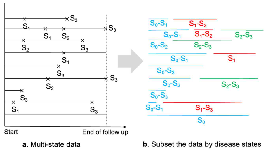 Preprints 228526 g005 Preprints 228526 g005